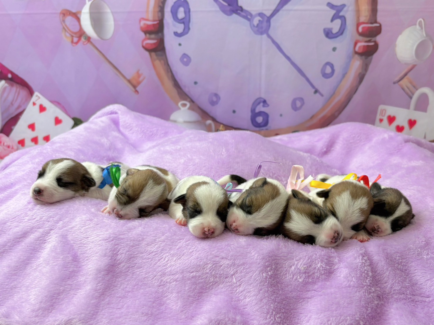 赤ちゃん写真1-3