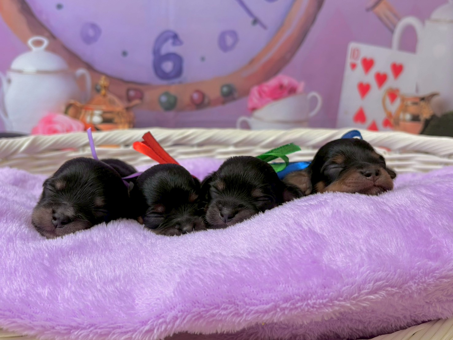 赤ちゃん写真1-3