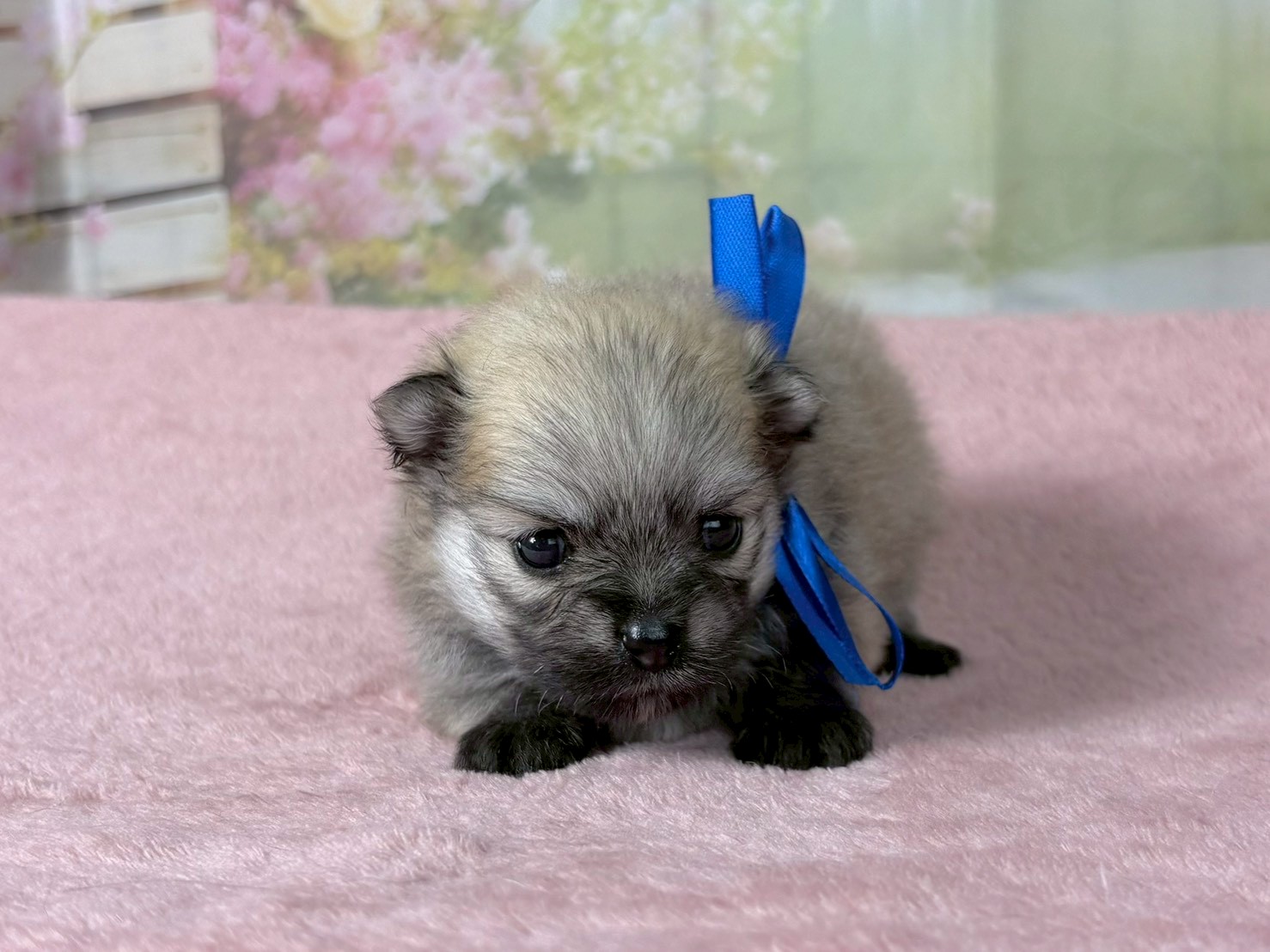 赤ちゃん写真2-1