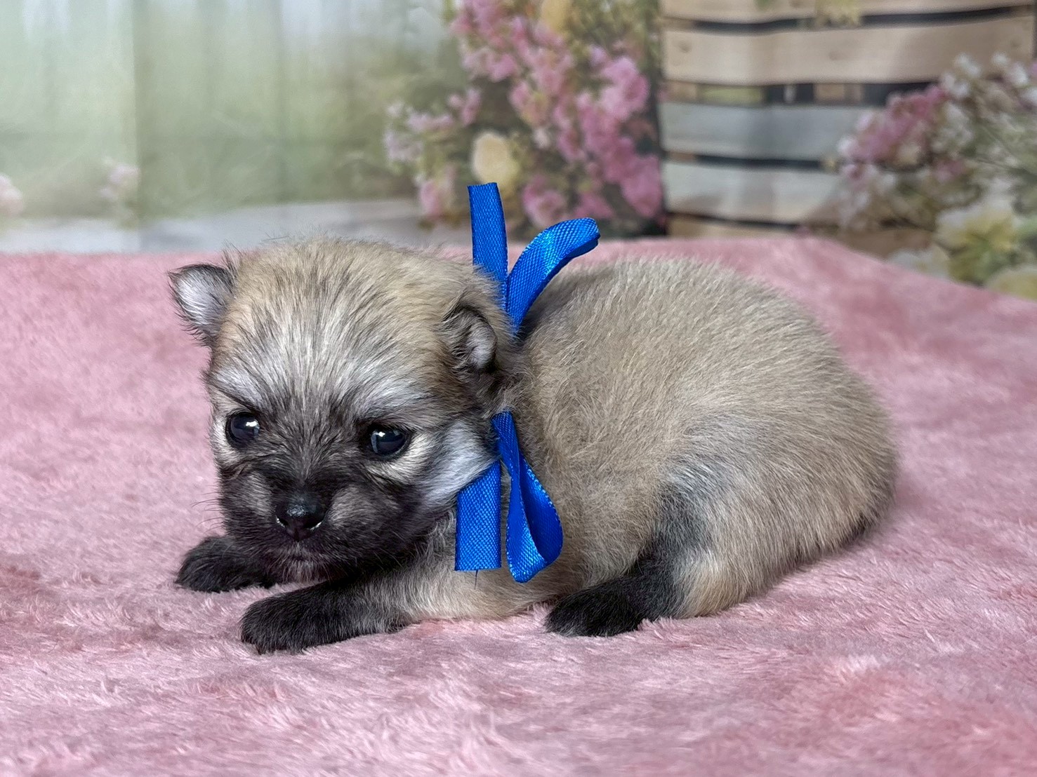 赤ちゃん写真2-2