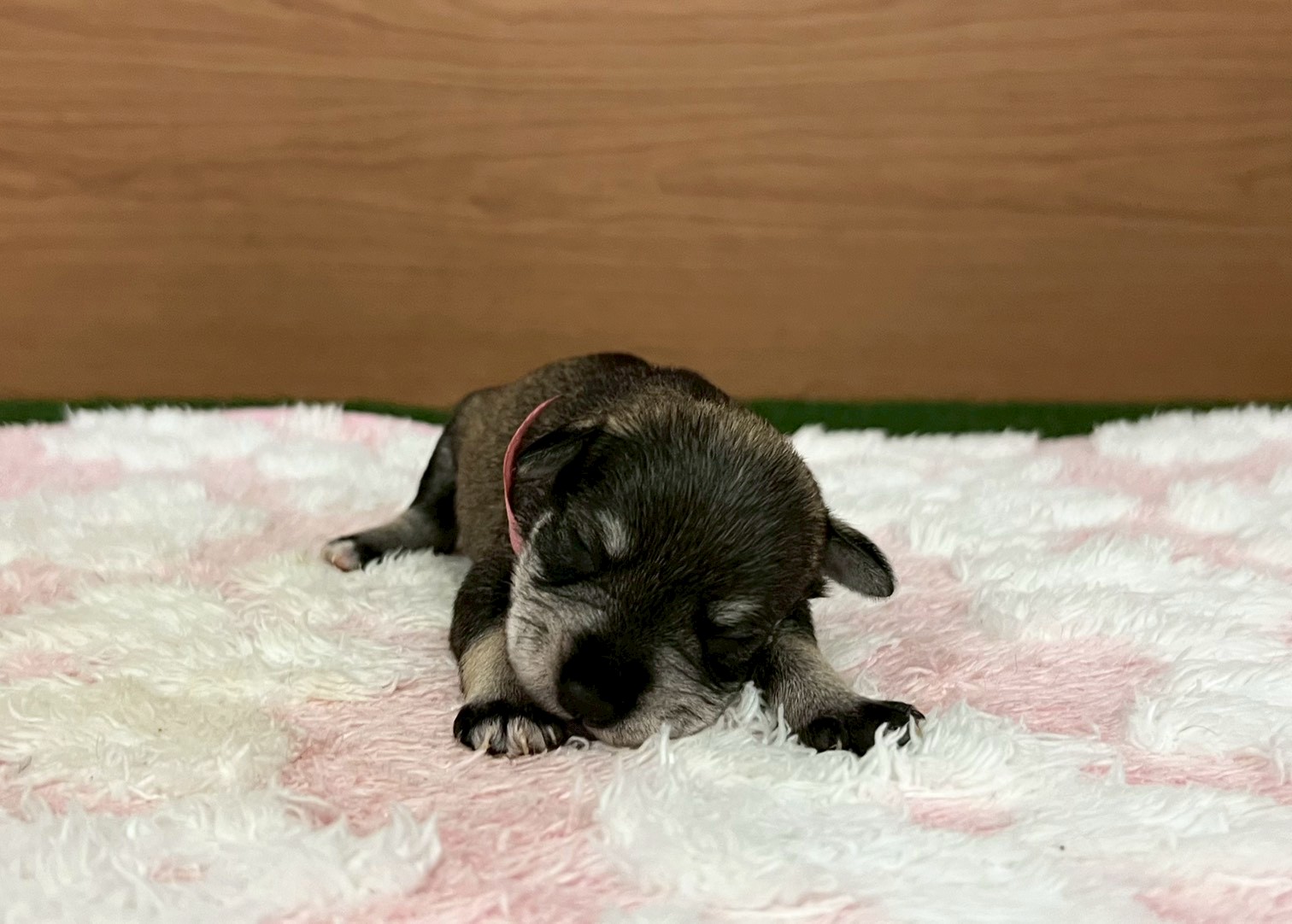 赤ちゃん写真1-1