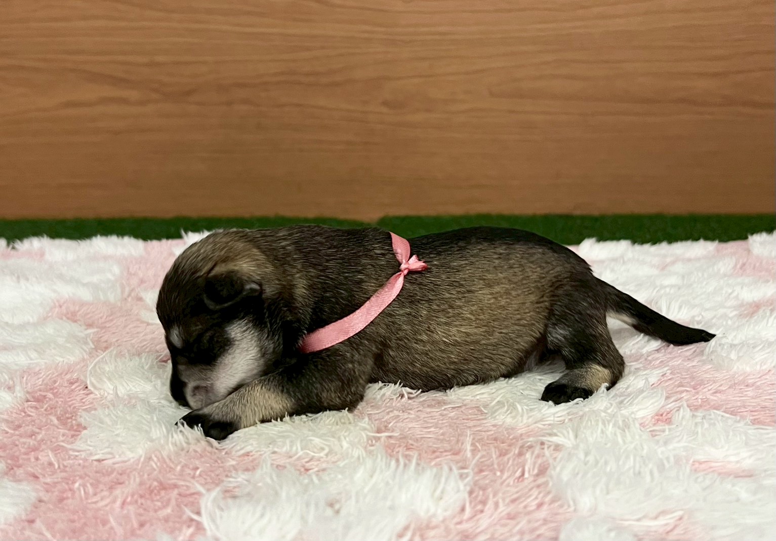 赤ちゃん写真1-2