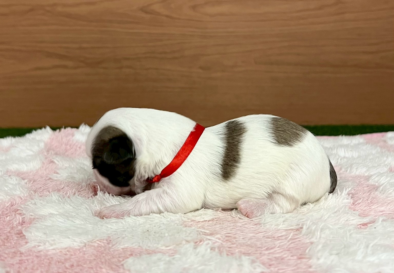 赤ちゃん写真1-2