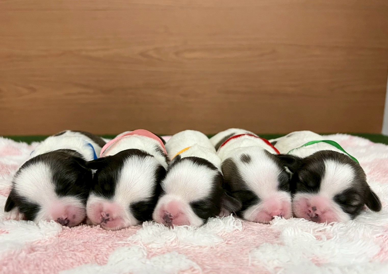 赤ちゃん写真1-3