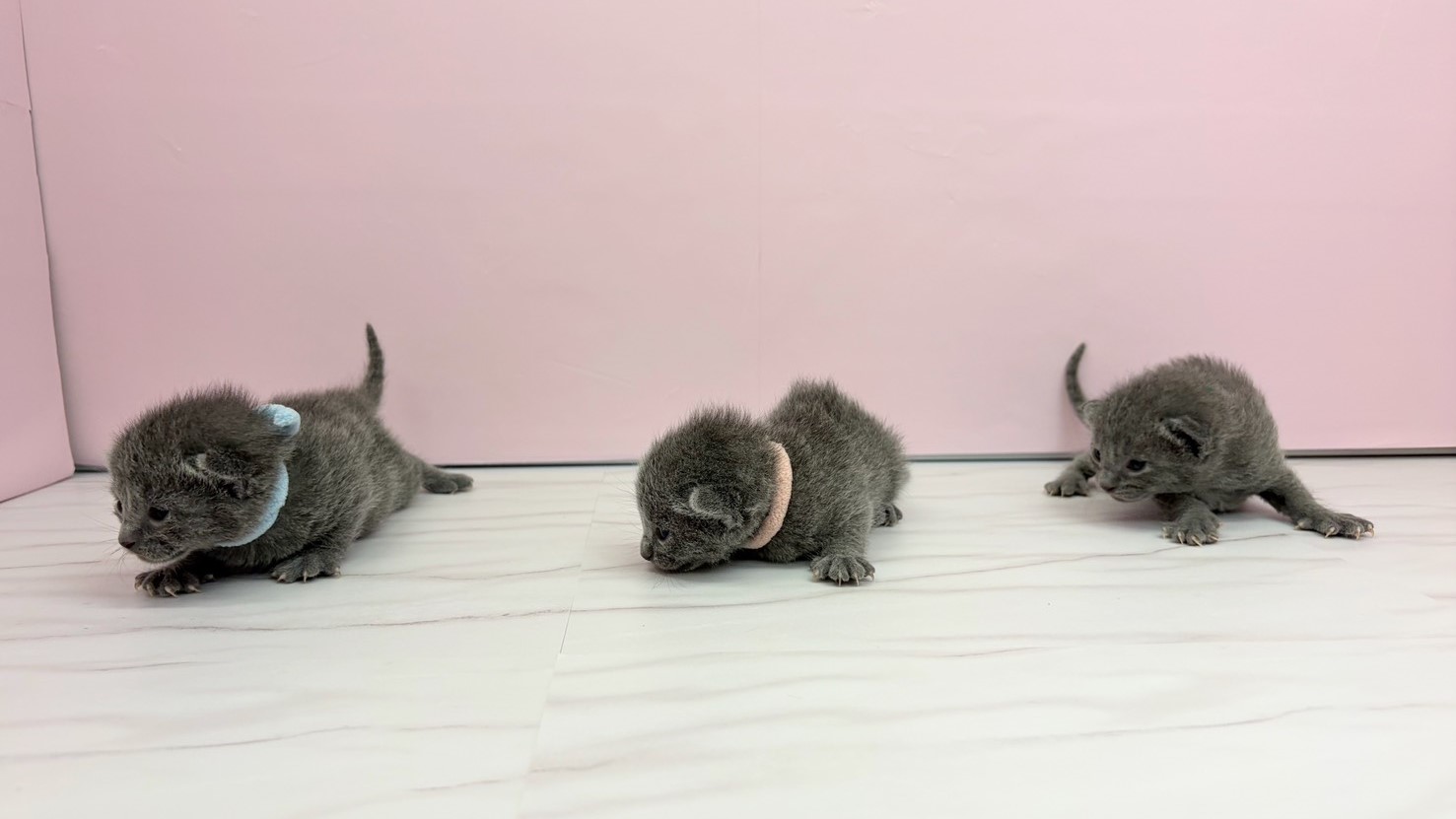 赤ちゃん写真1-3