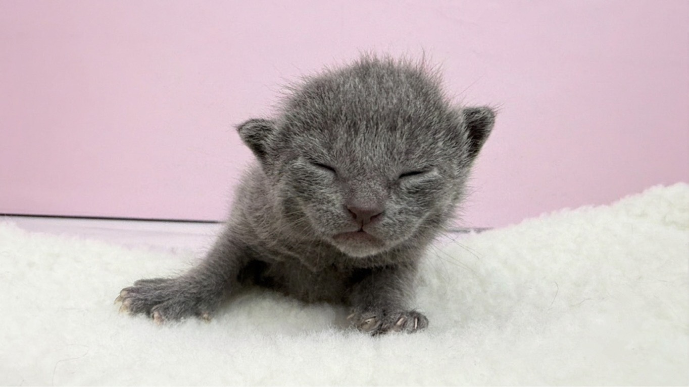 赤ちゃん写真1-1