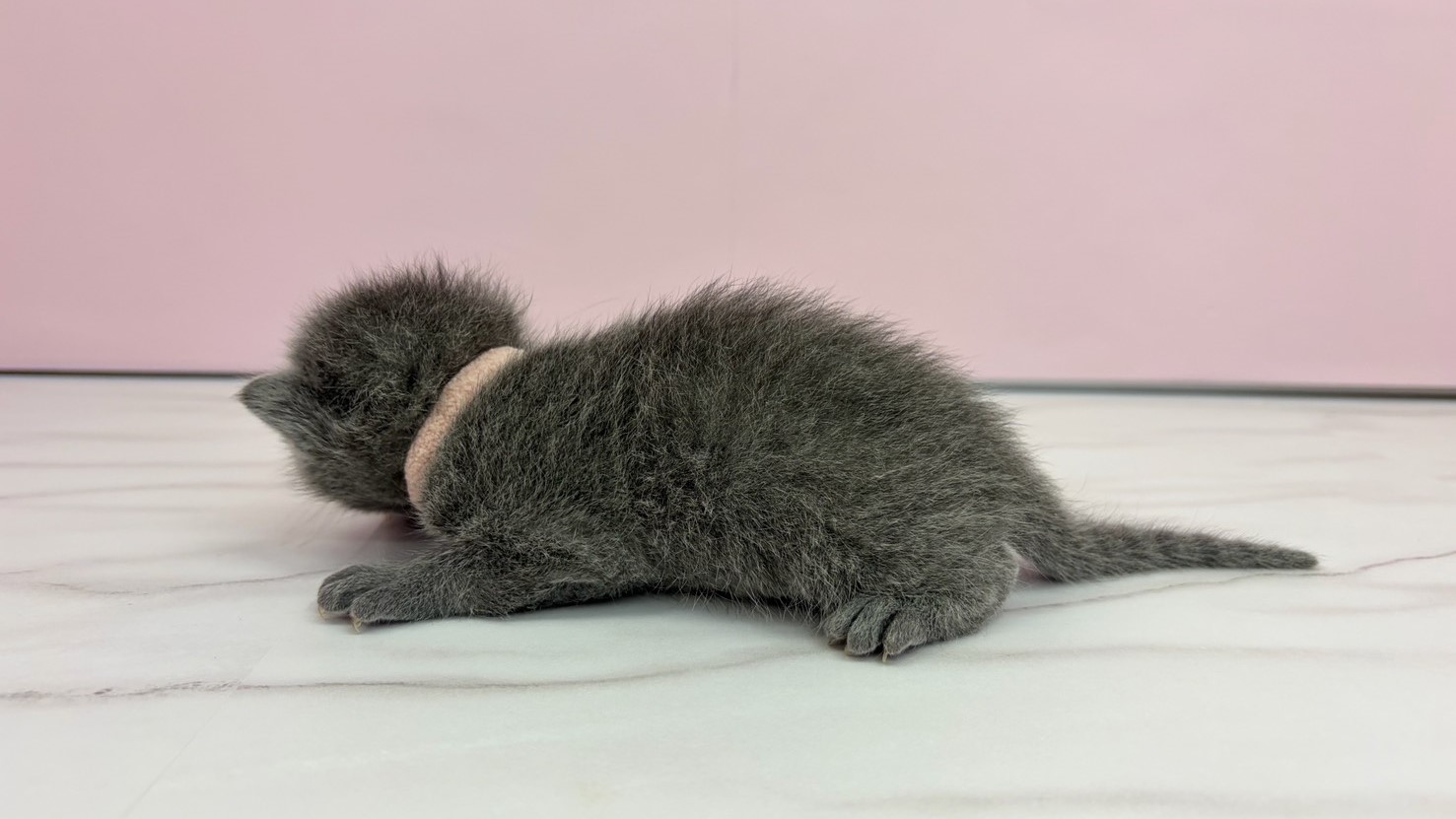 赤ちゃん写真1-2
