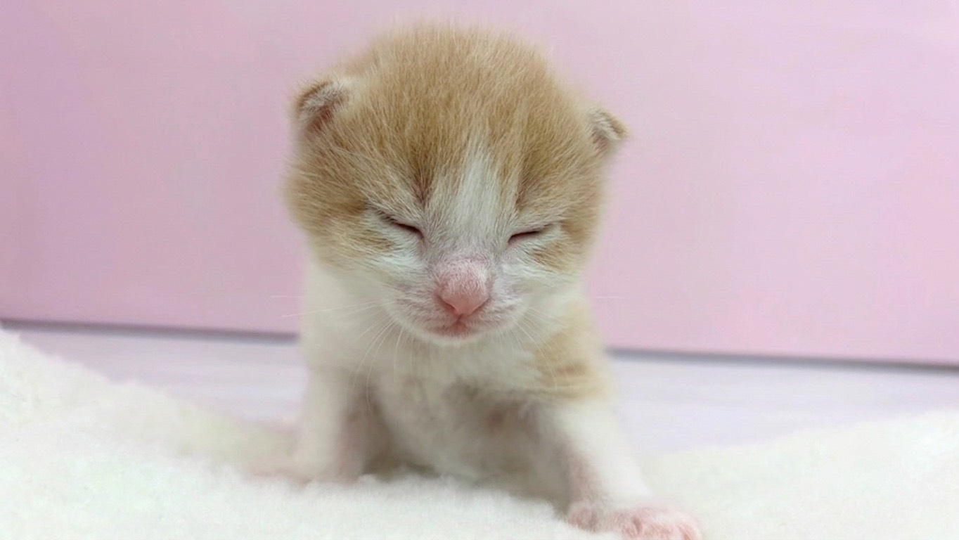 赤ちゃん写真1-1