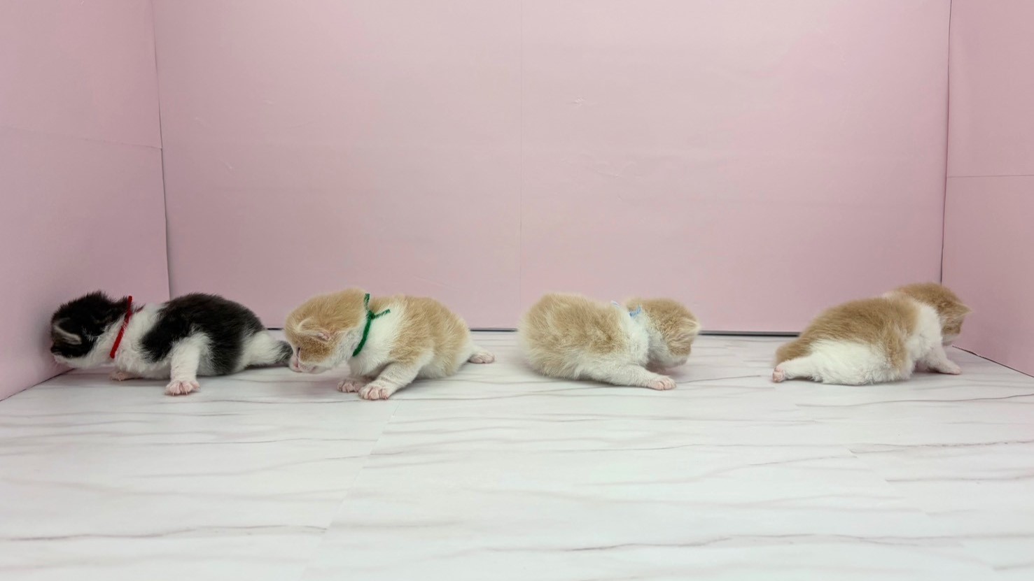 赤ちゃん写真1-3
