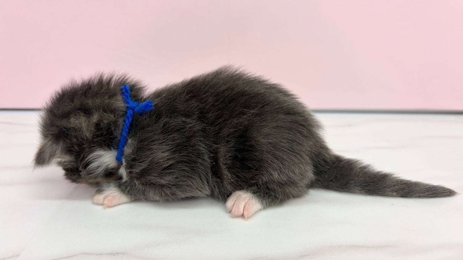 赤ちゃん写真1-2