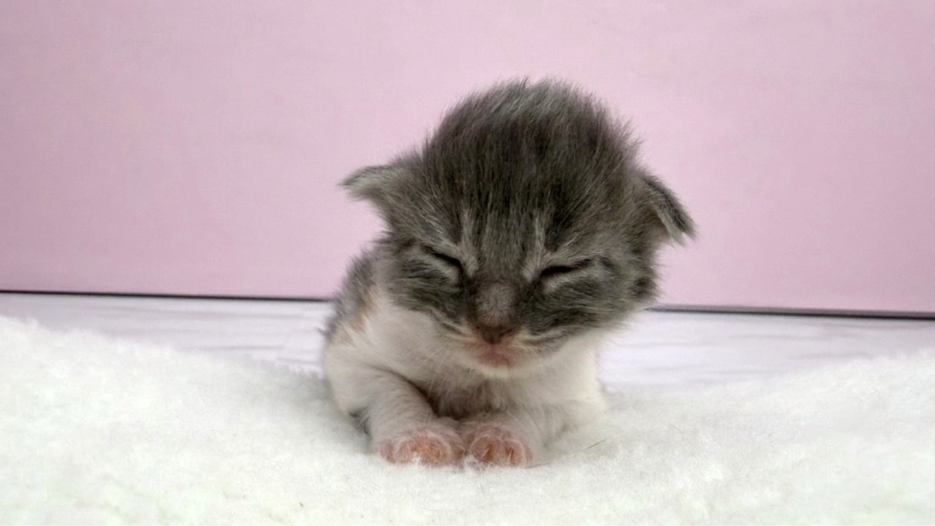 赤ちゃん写真1-1