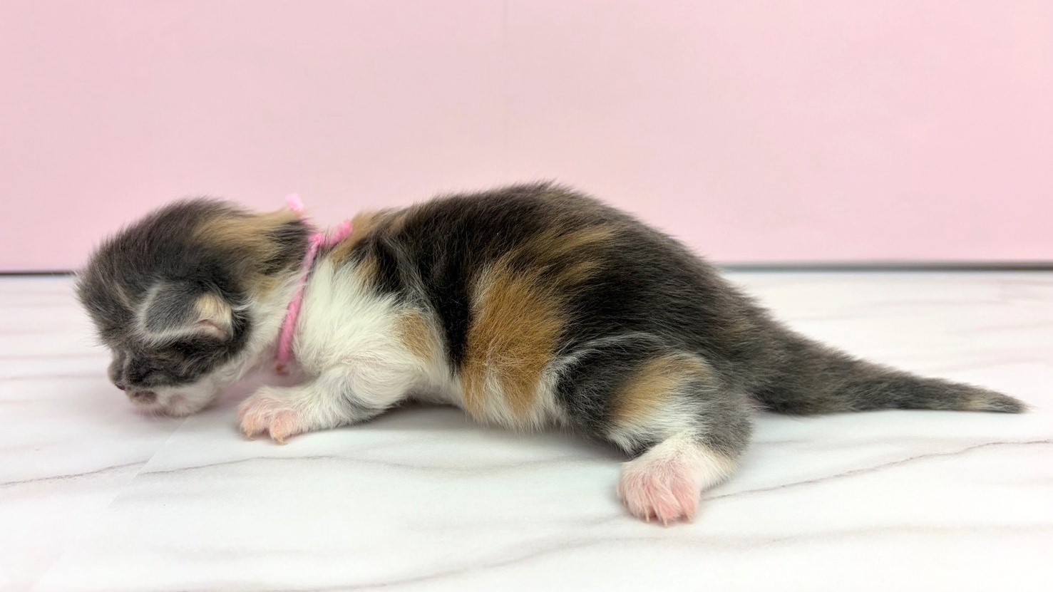赤ちゃん写真1-2