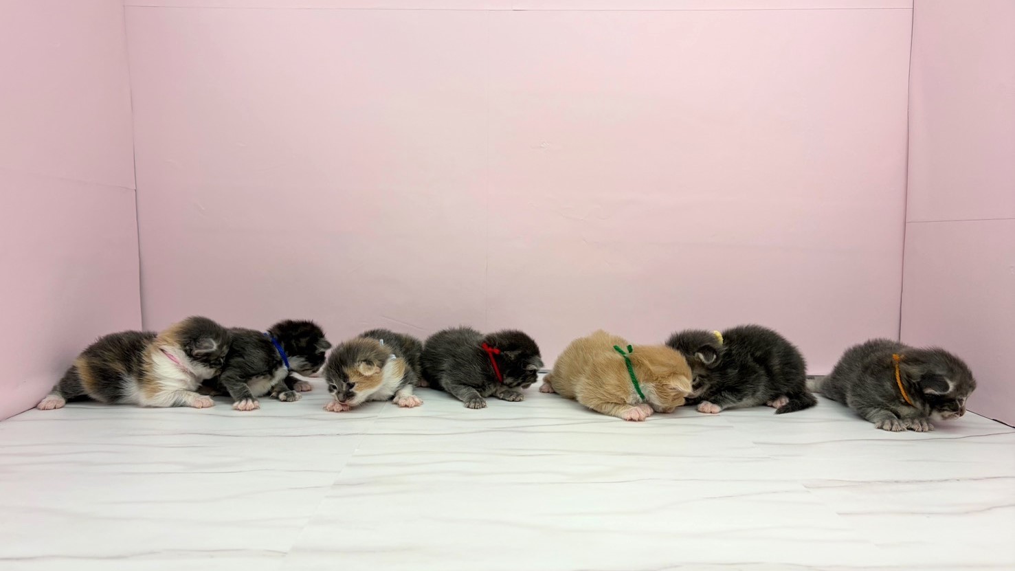 赤ちゃん写真1-3