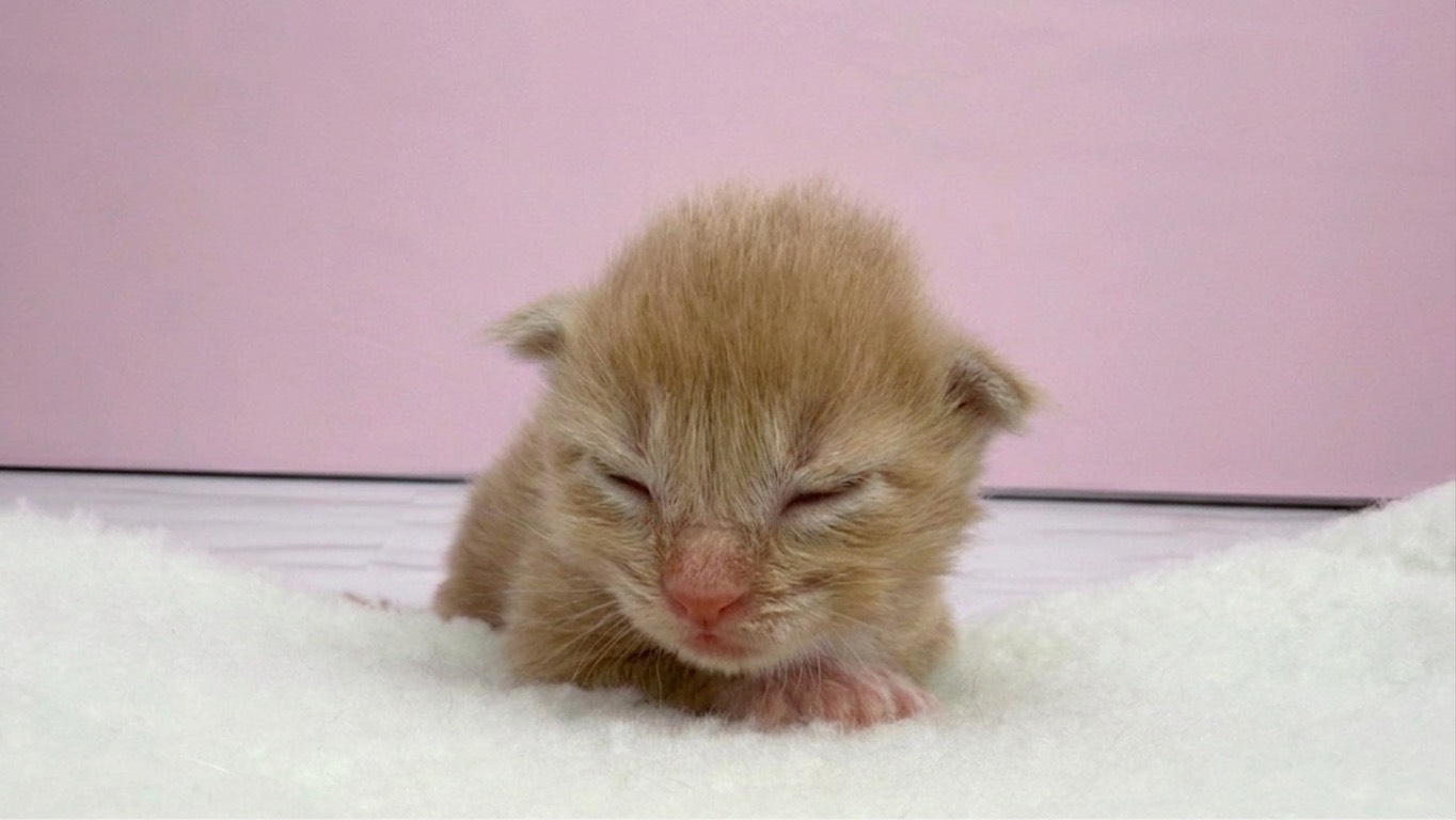 赤ちゃん写真1-1