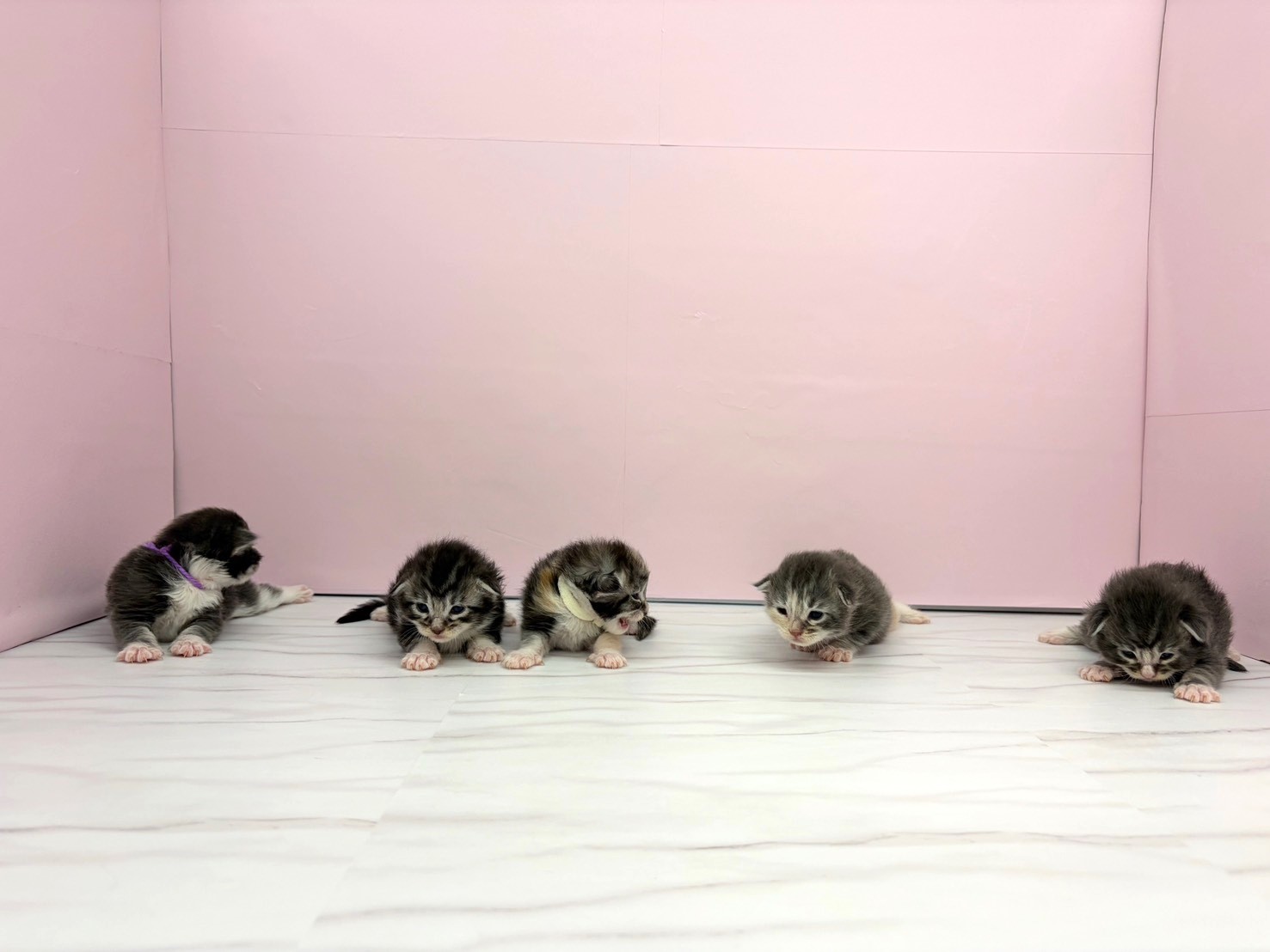 赤ちゃん写真1-3
