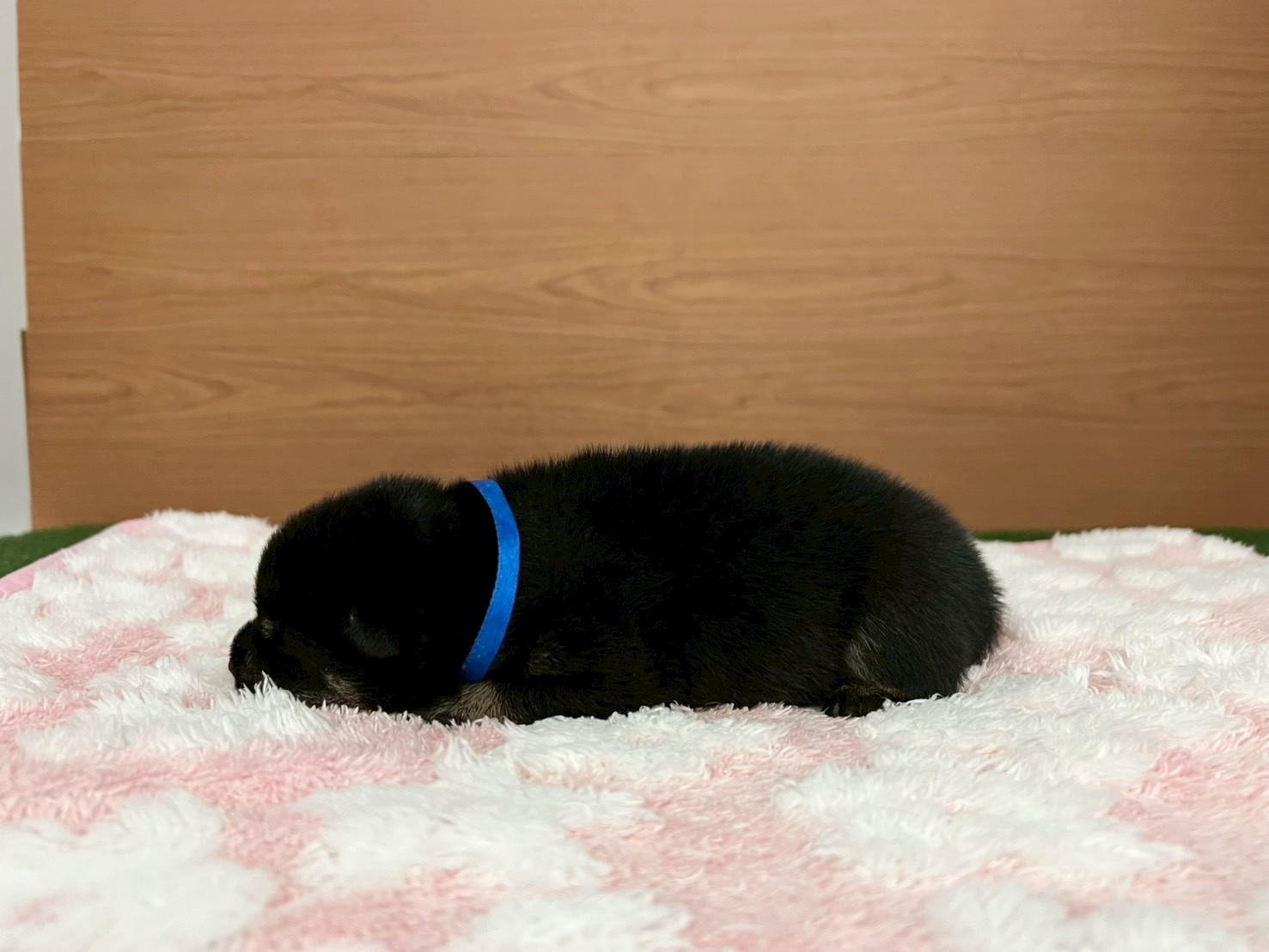 赤ちゃん写真1-2