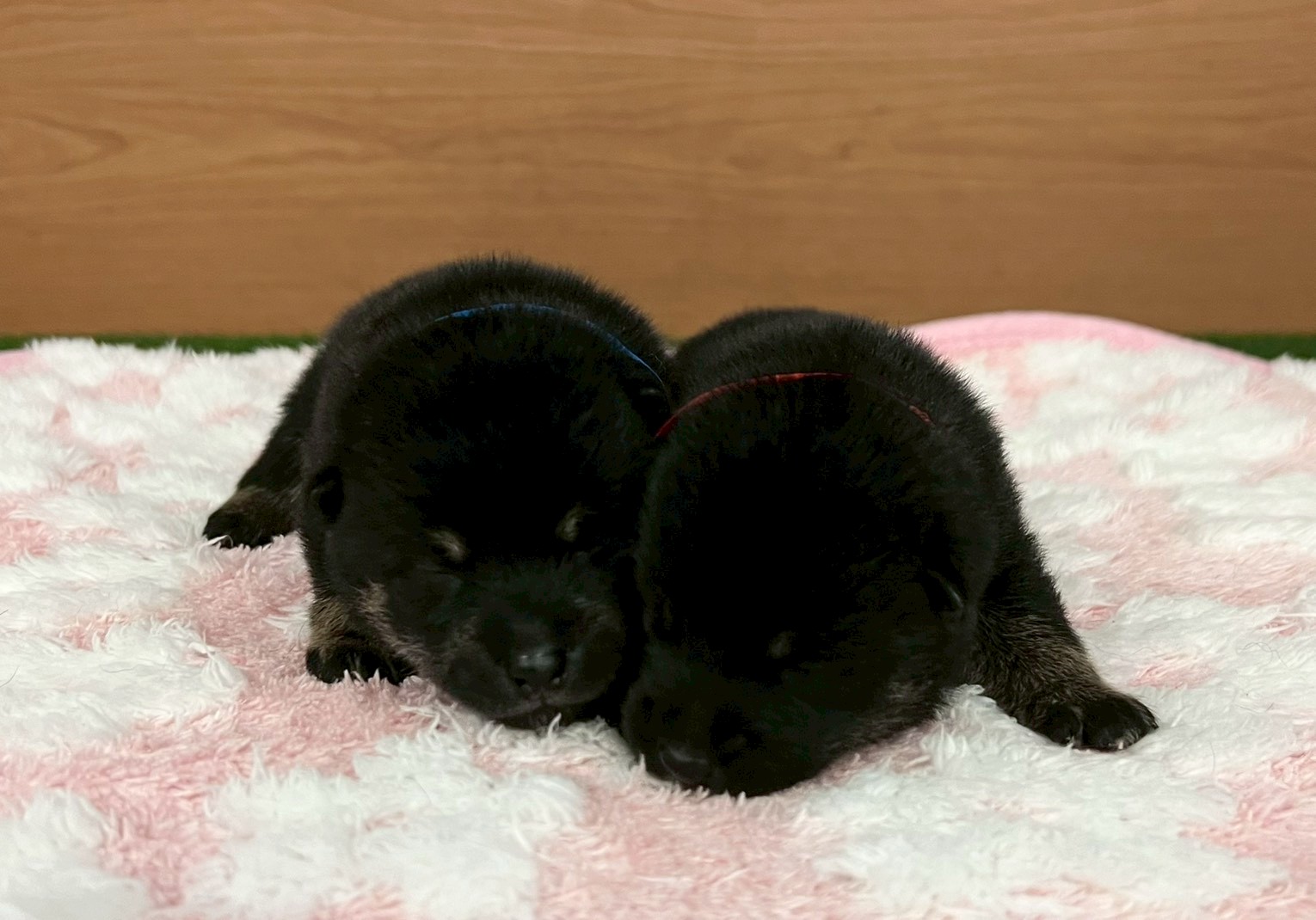 赤ちゃん写真1-3