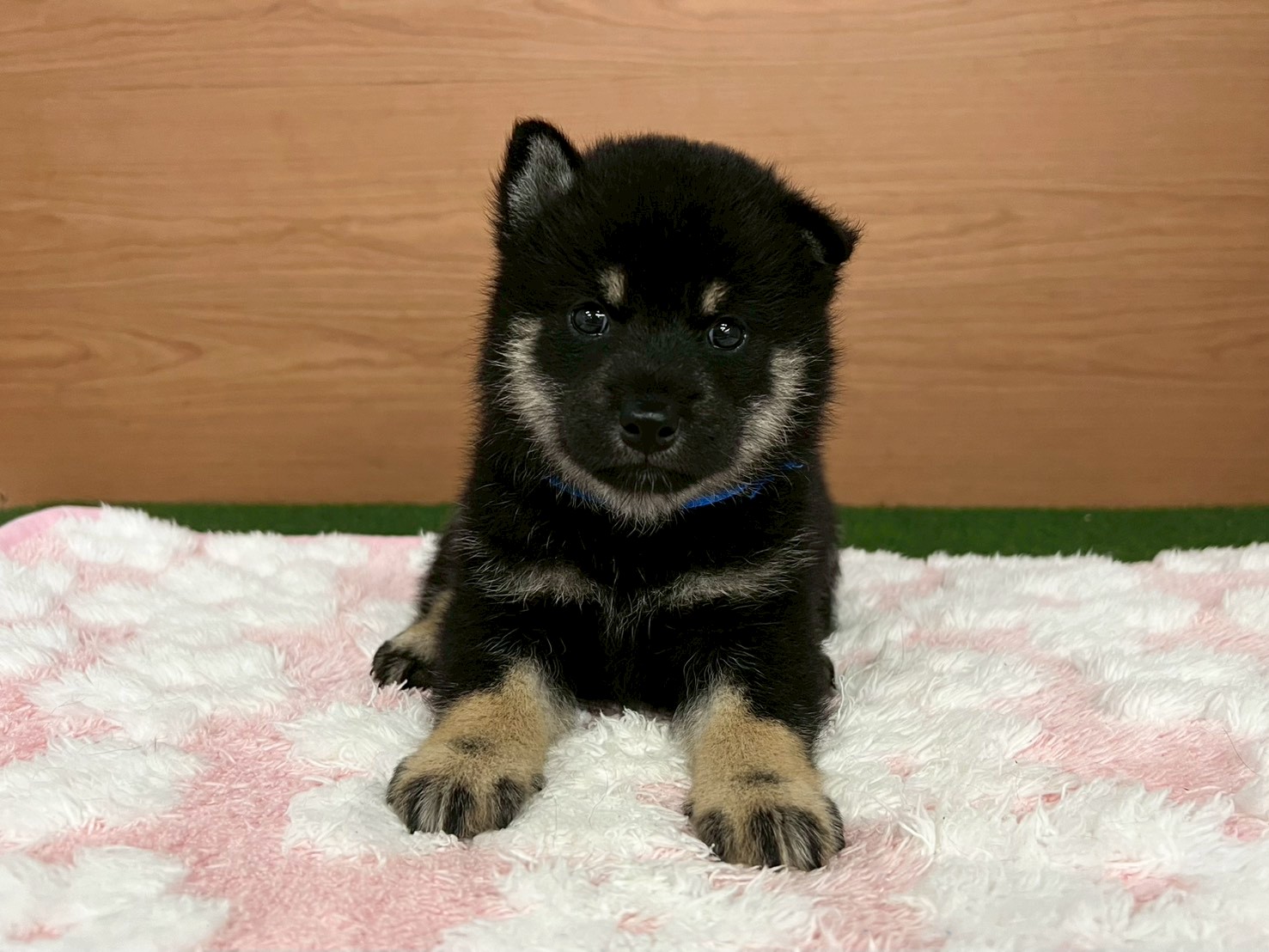 赤ちゃん写真2-1
