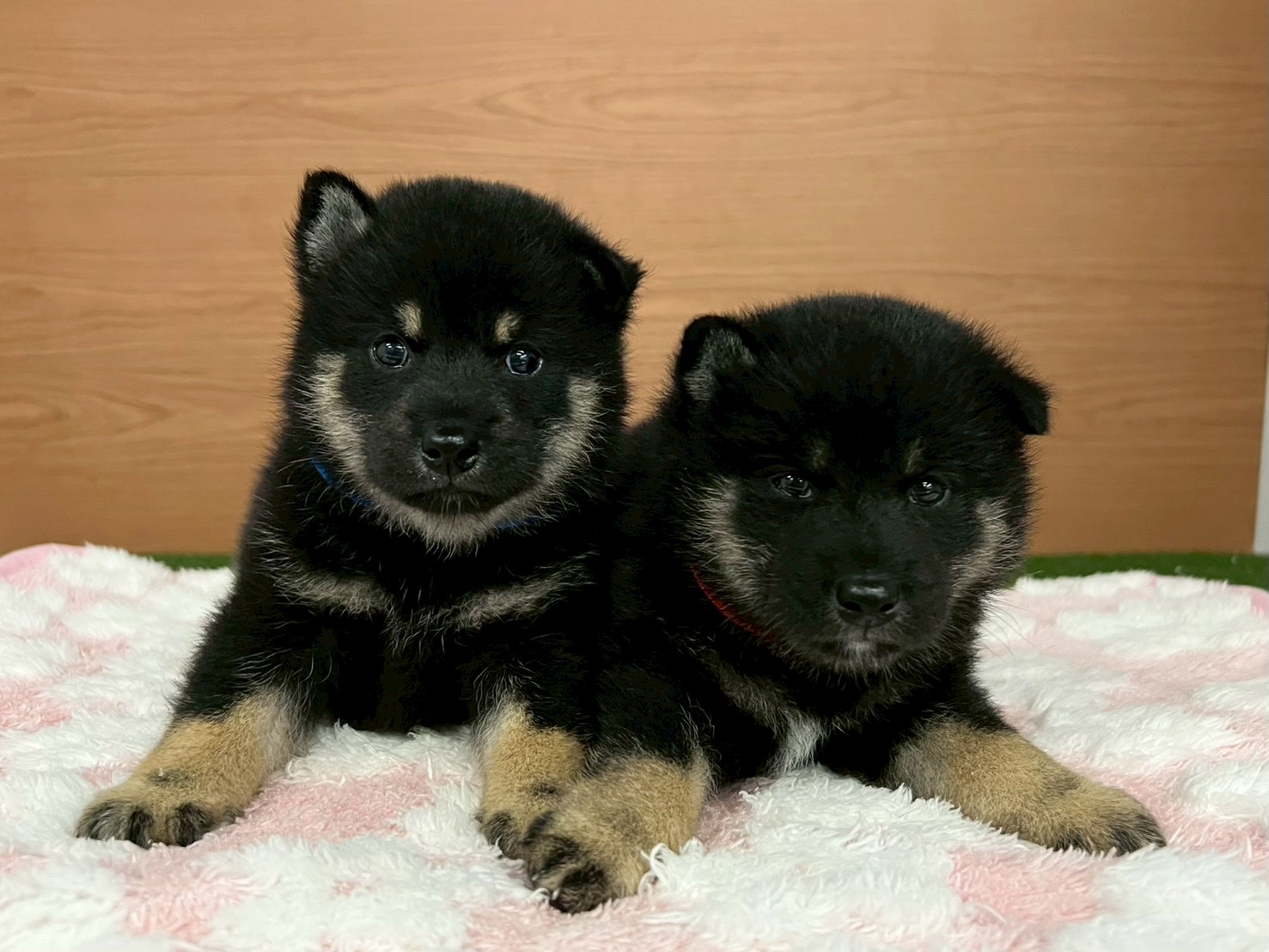 赤ちゃん写真2-3