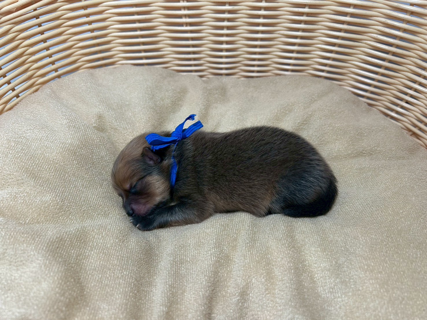 赤ちゃん写真1-2