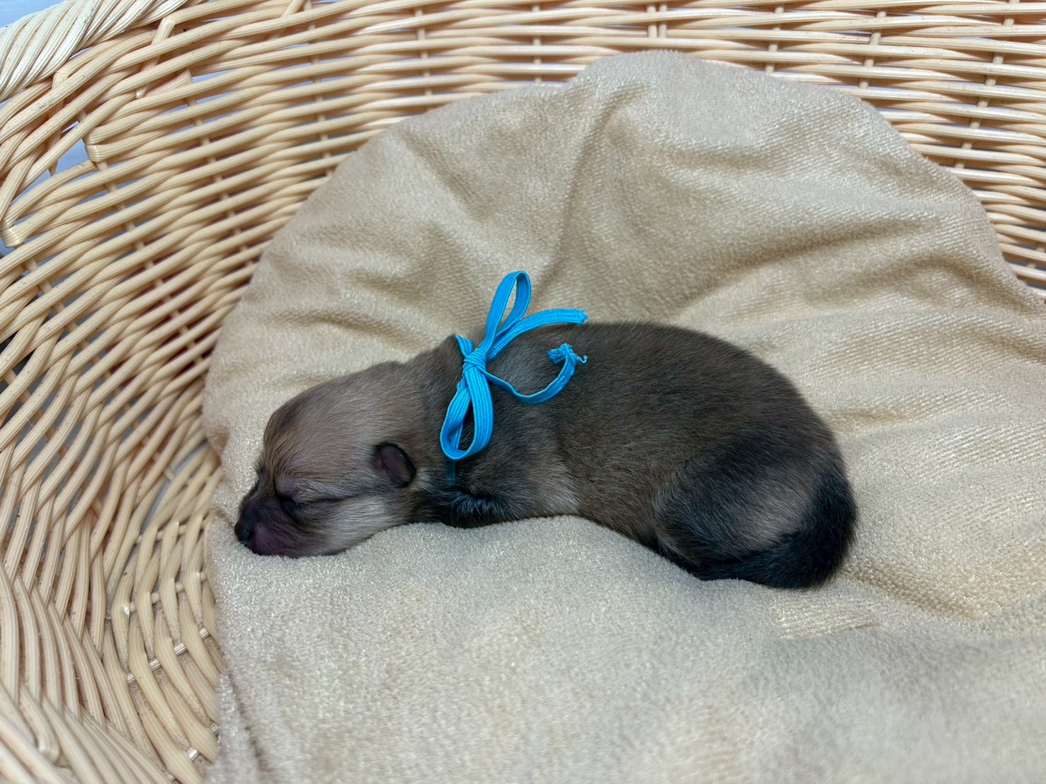 赤ちゃん写真1-2