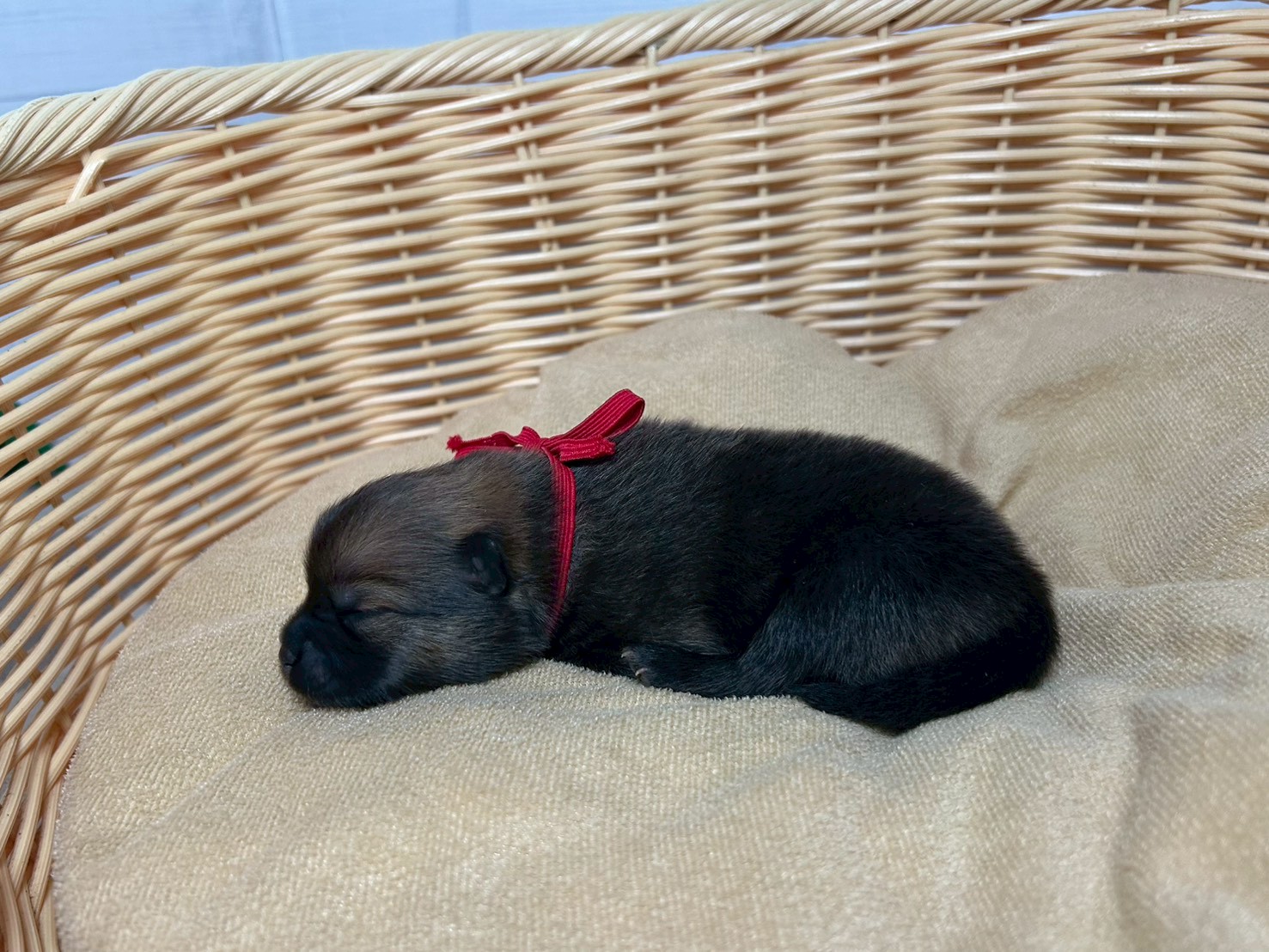 赤ちゃん写真1-2