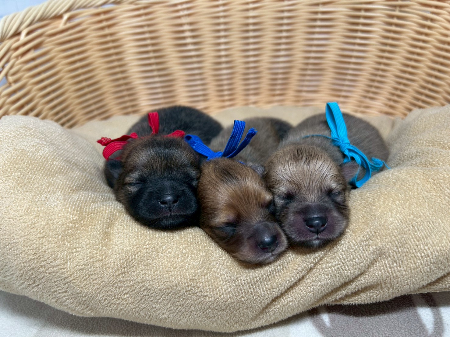 赤ちゃん写真1-3