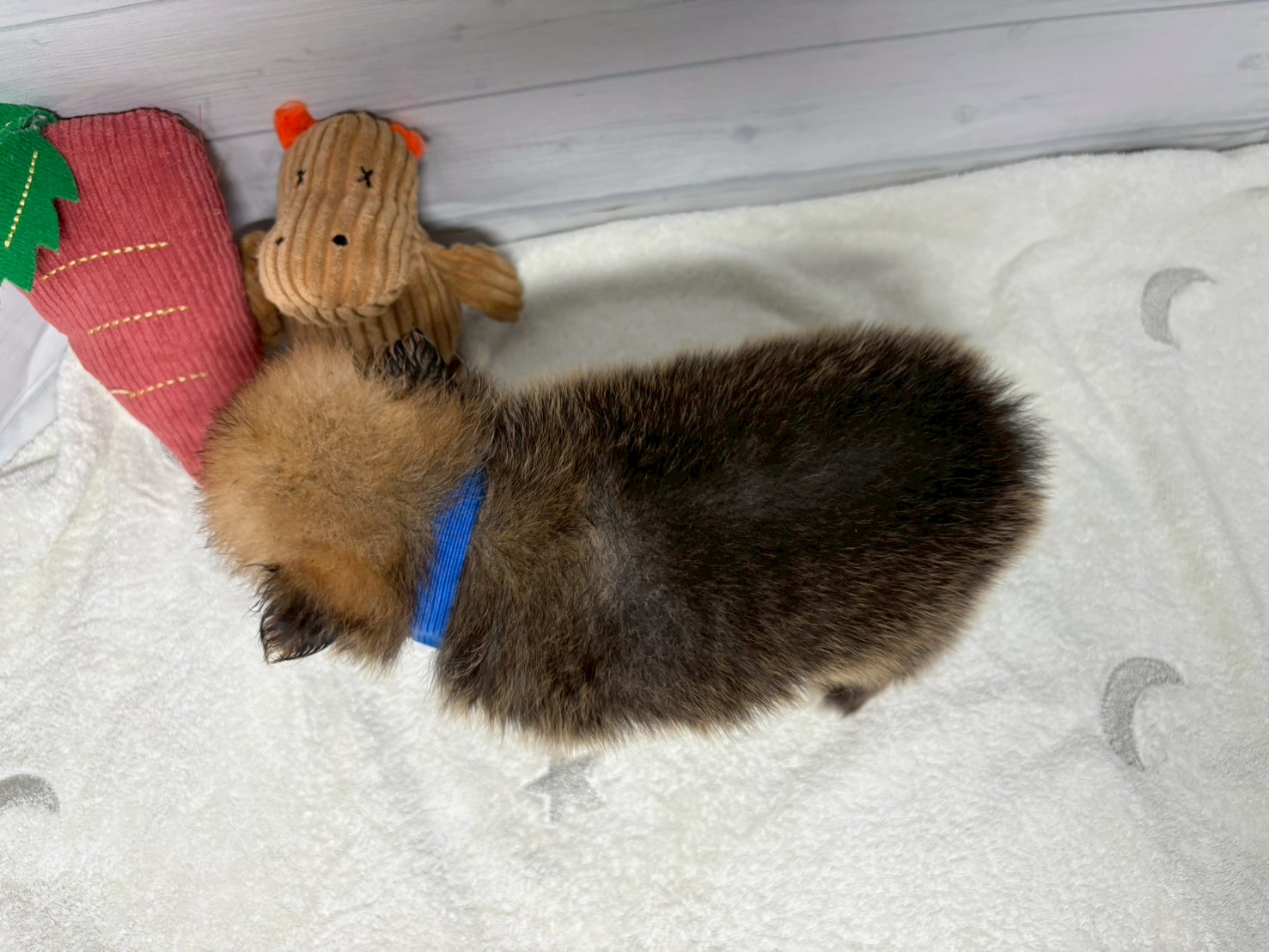 赤ちゃん写真2-3