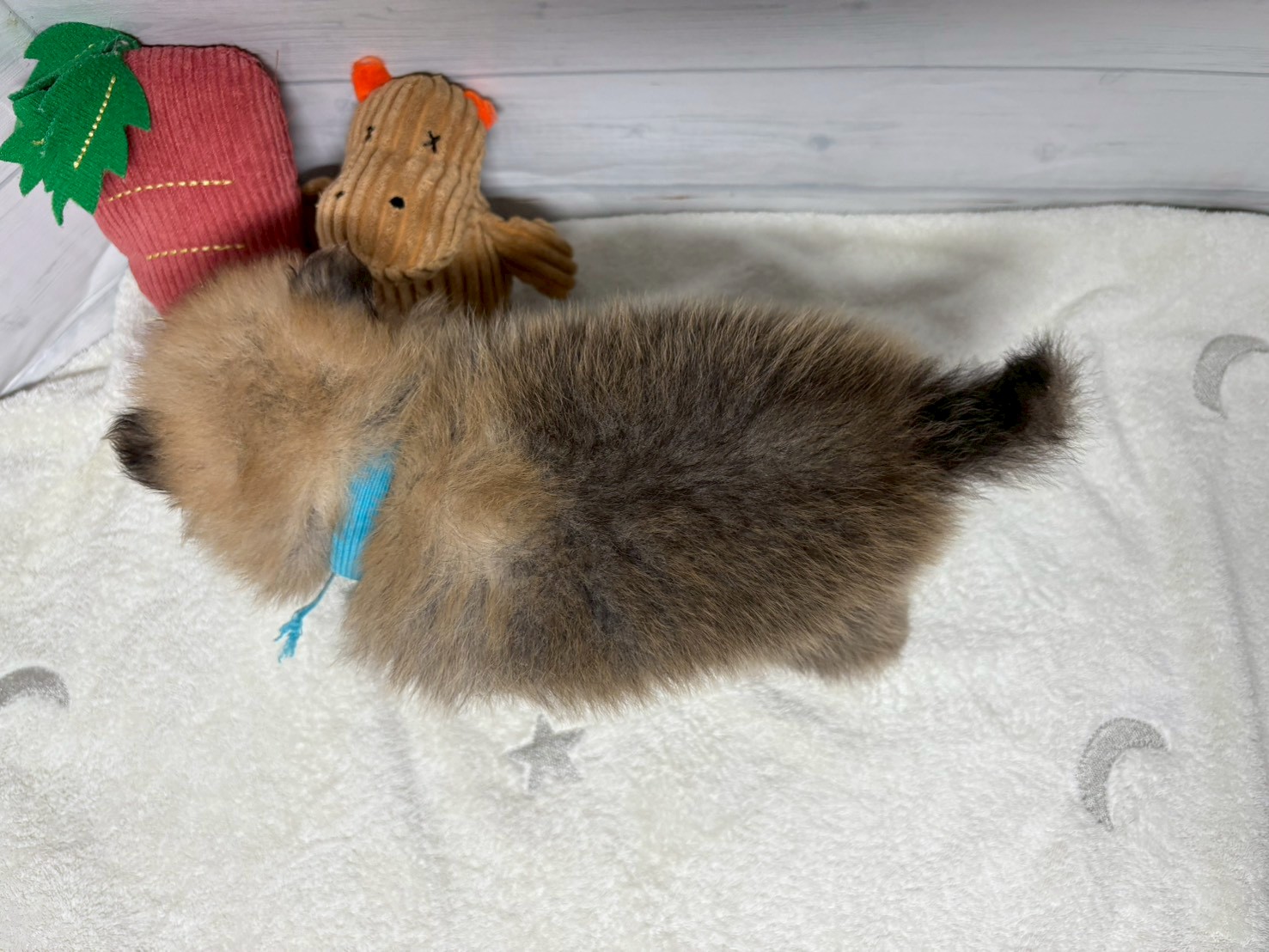 赤ちゃん写真2-3