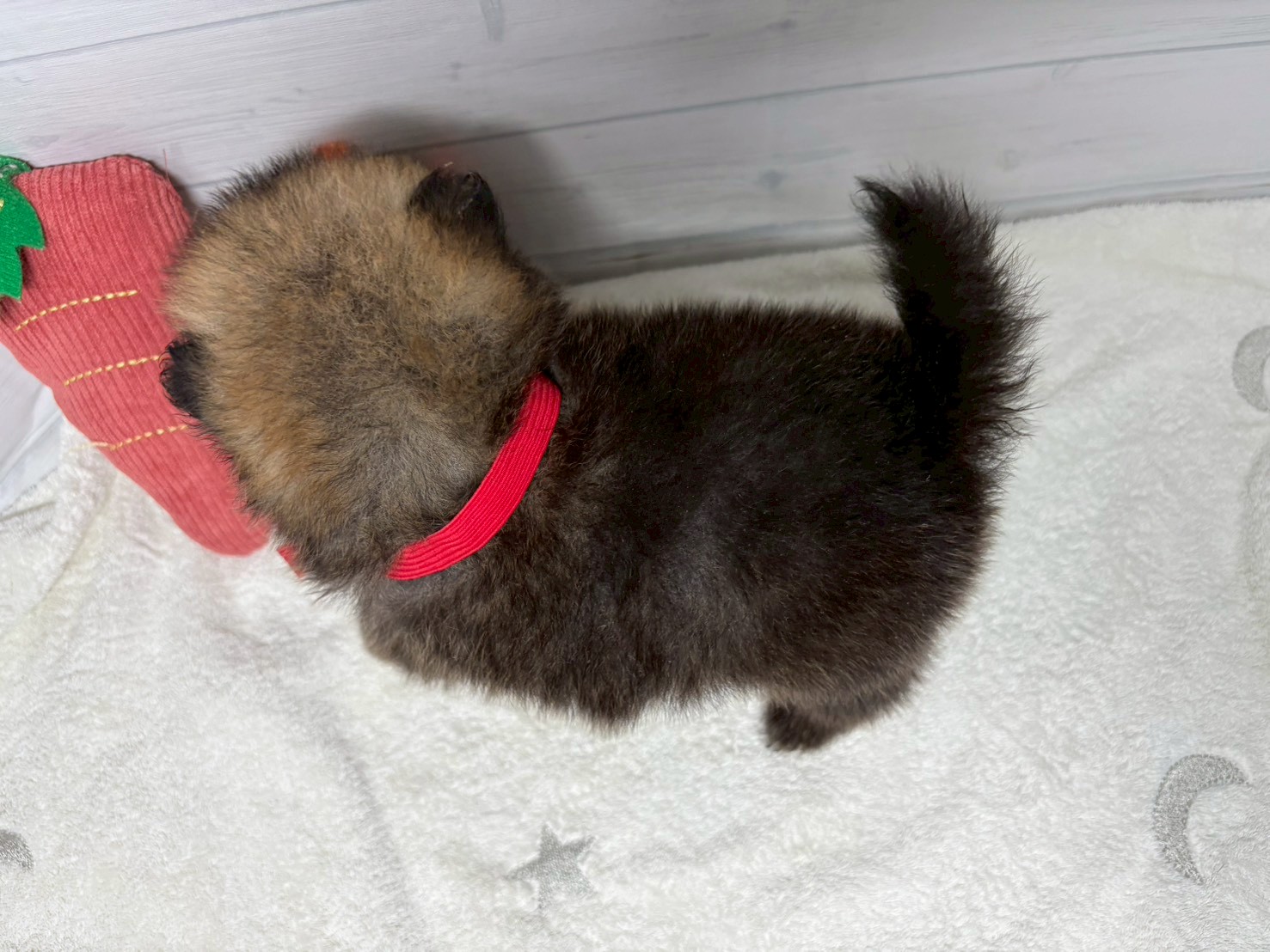 赤ちゃん写真2-3