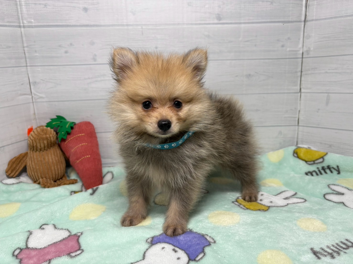 赤ちゃん写真3-1