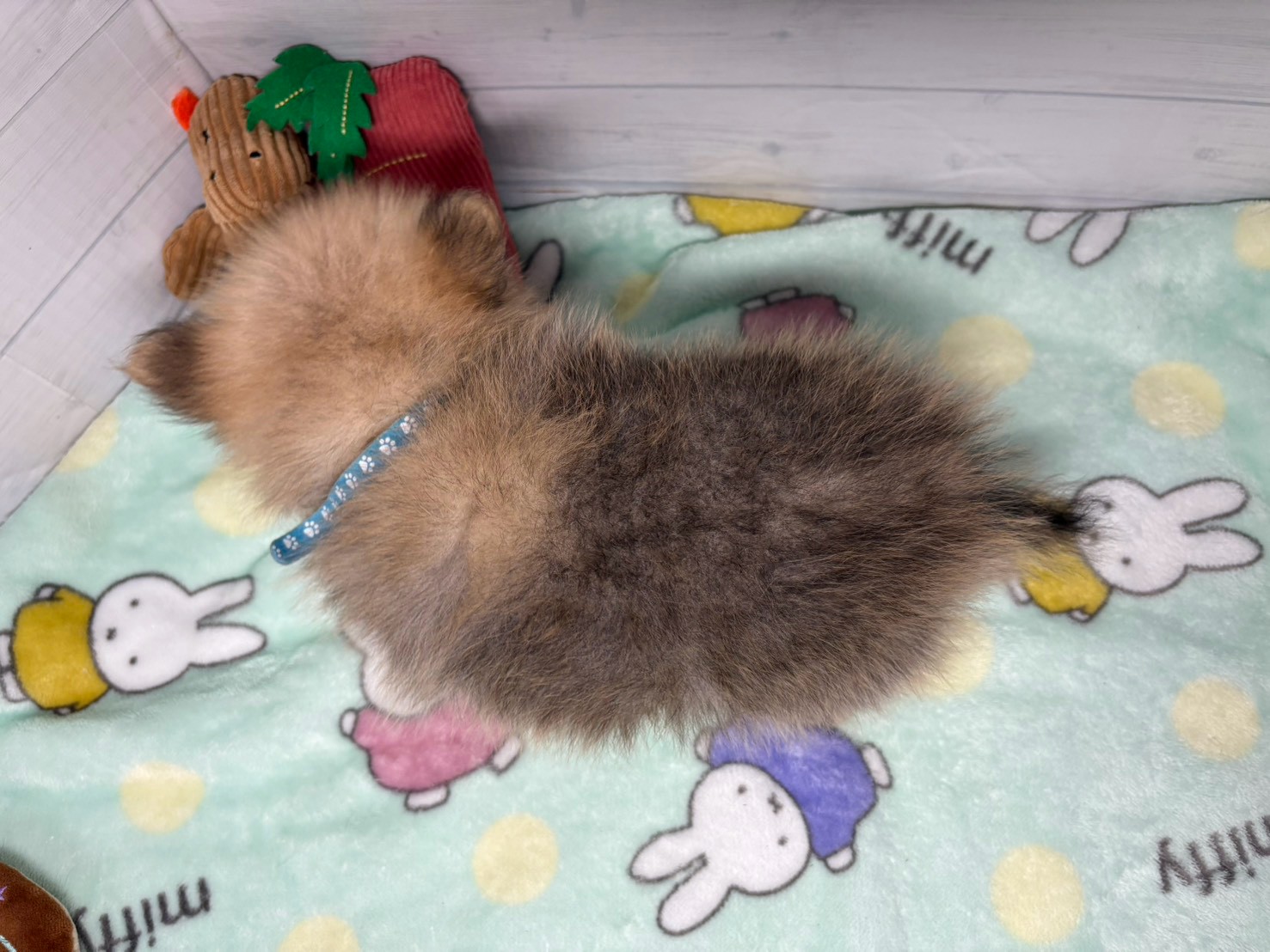 赤ちゃん写真3-3