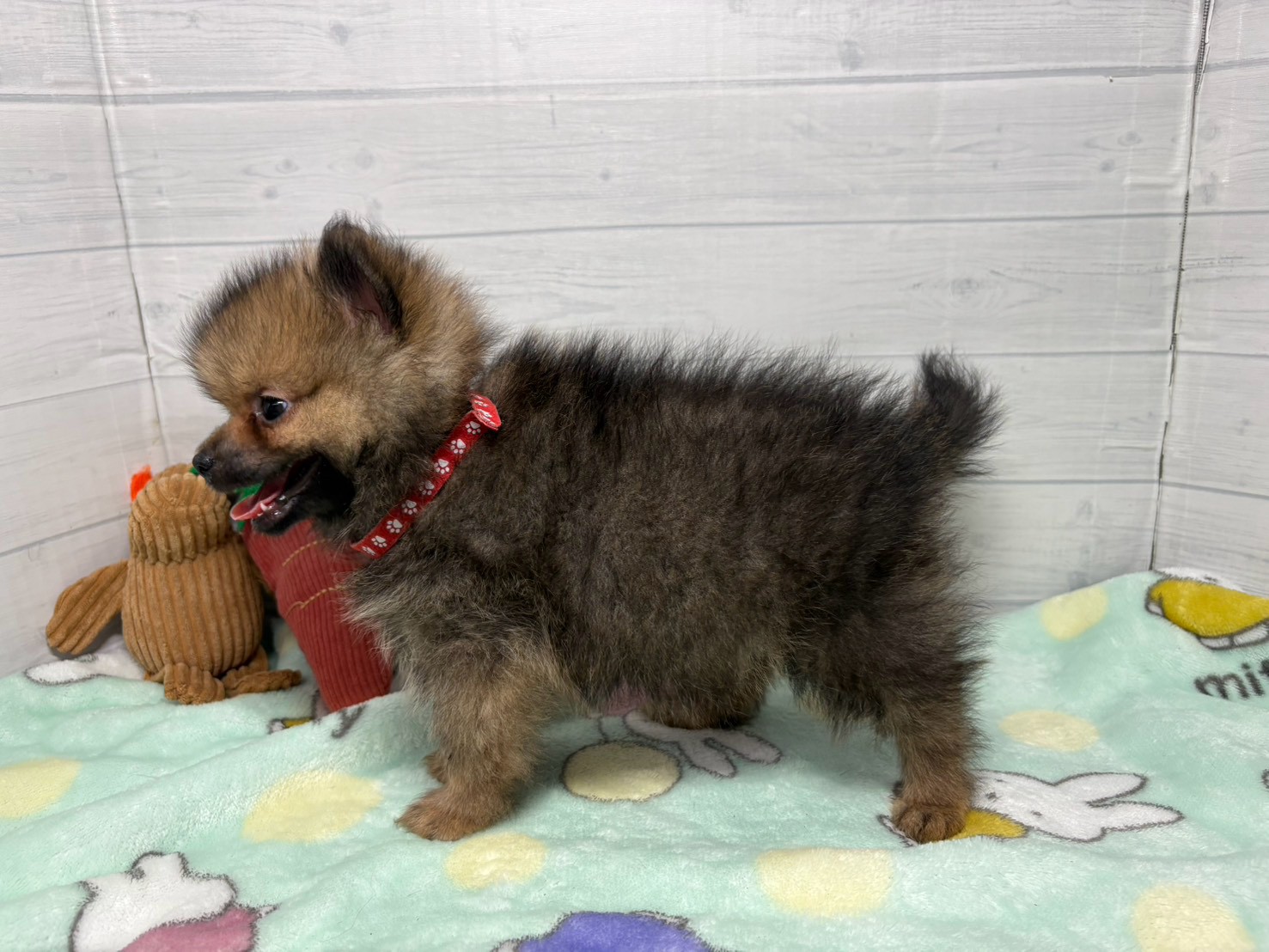 赤ちゃん写真3-2