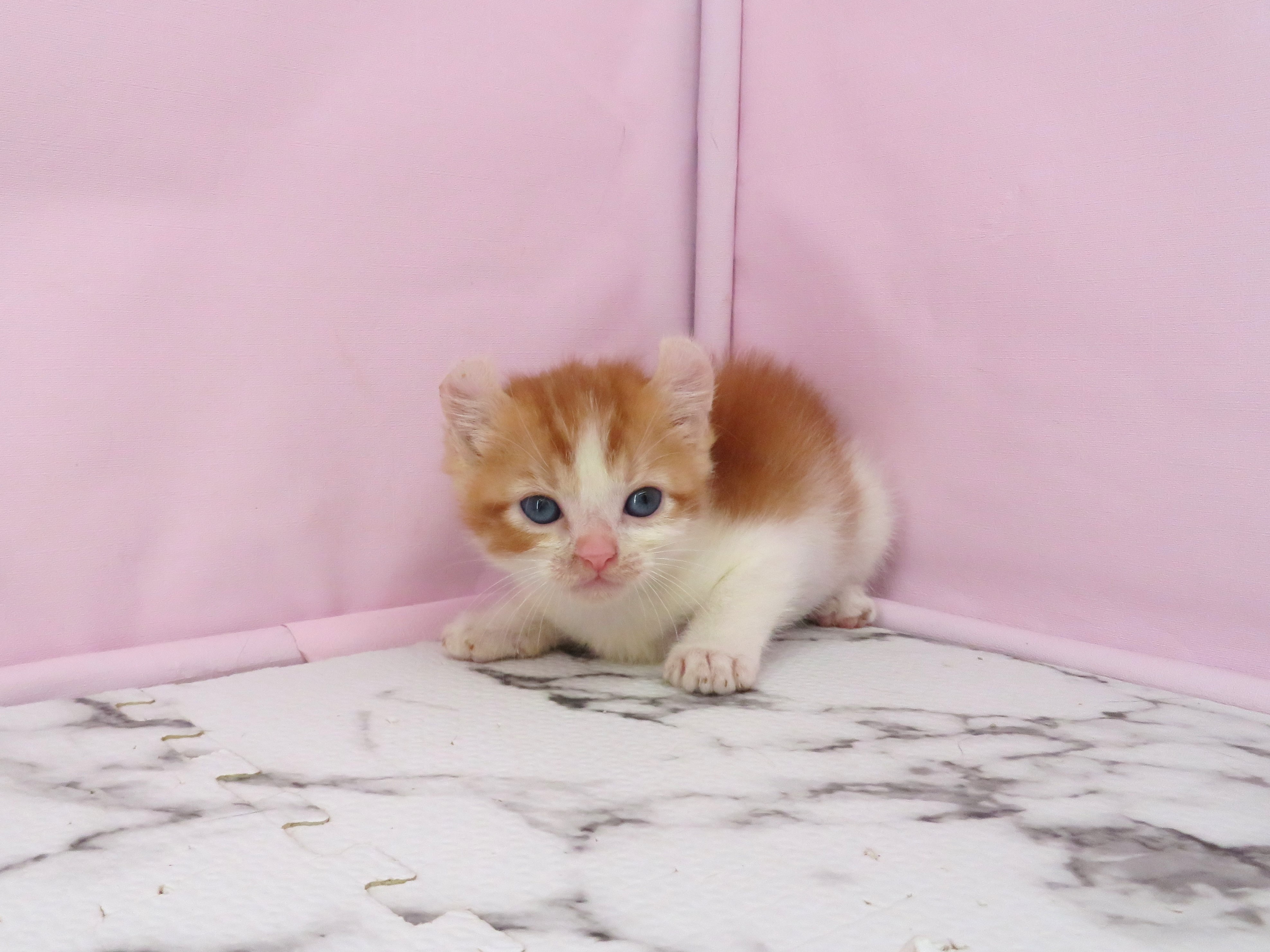 赤ちゃん写真2-1
