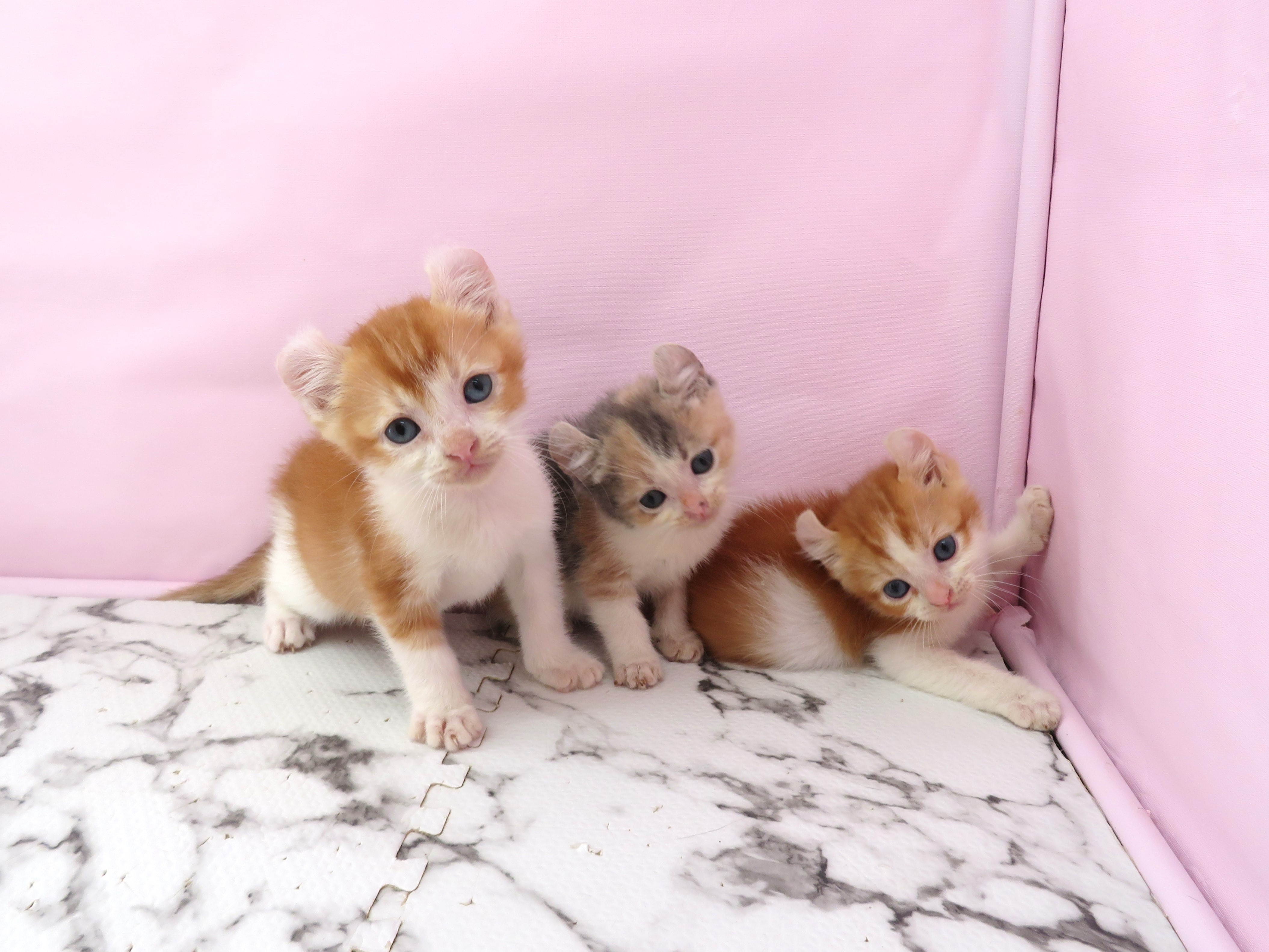 赤ちゃん写真2-3