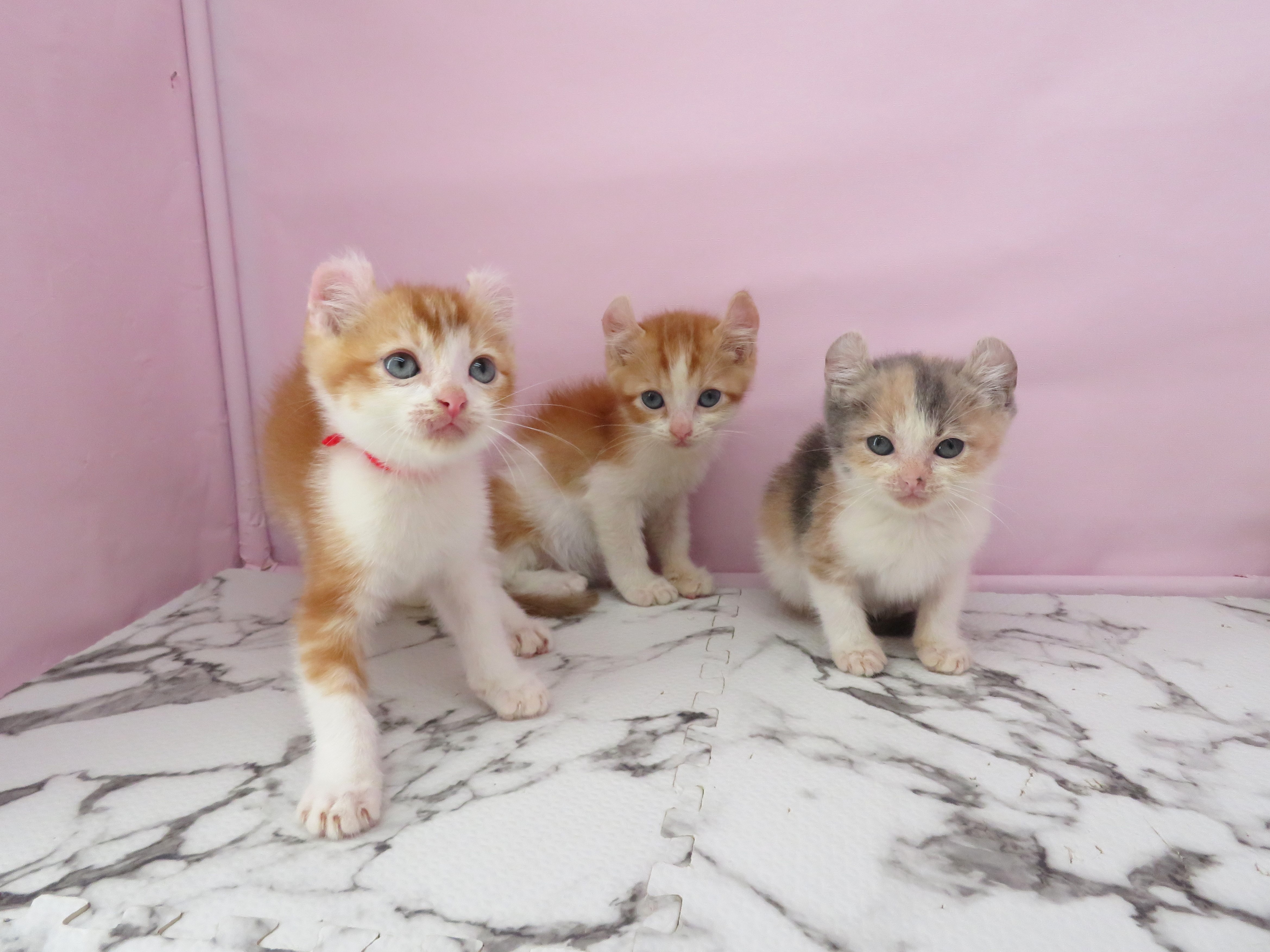 赤ちゃん写真3-3