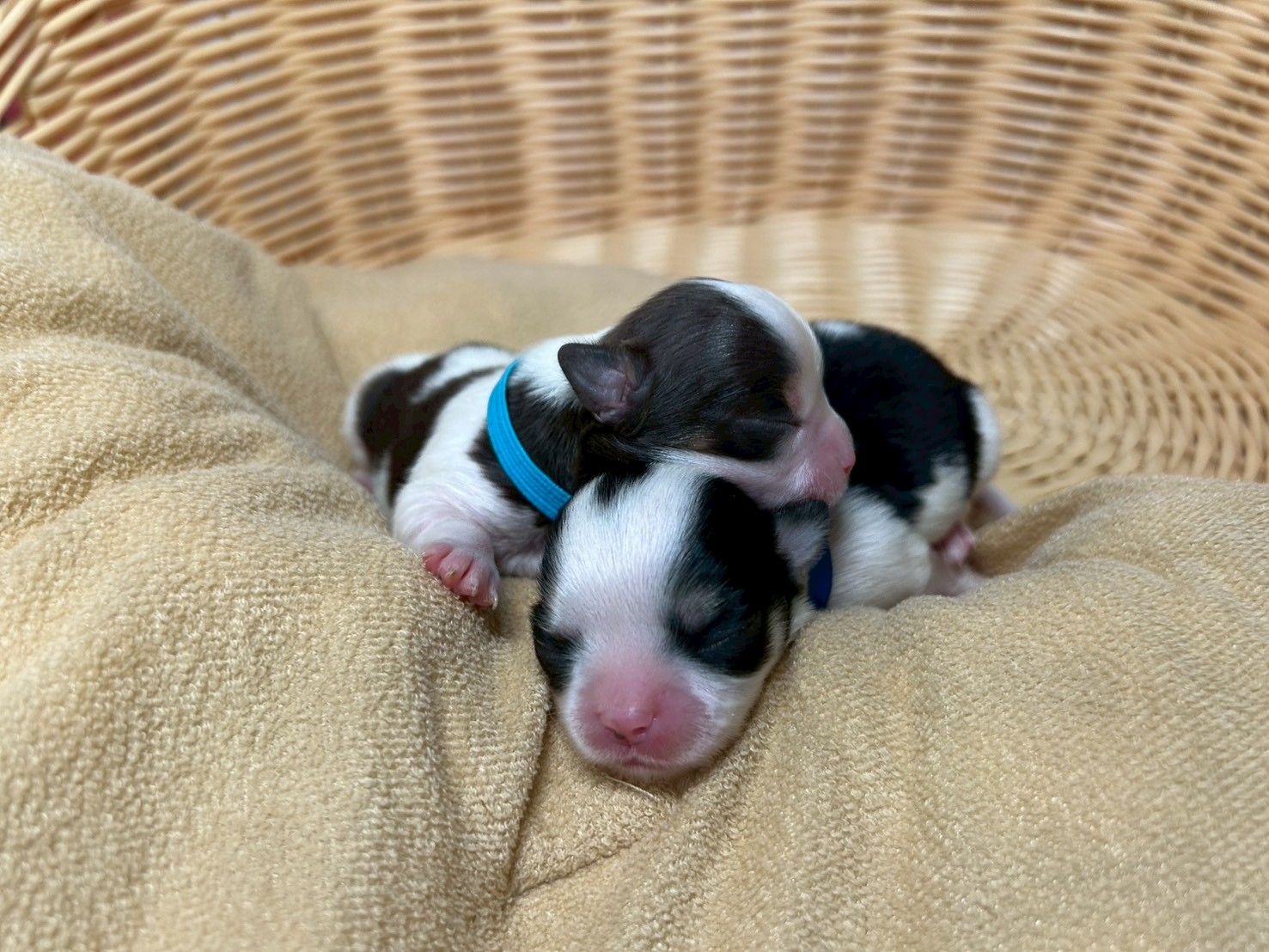 赤ちゃん写真1-3