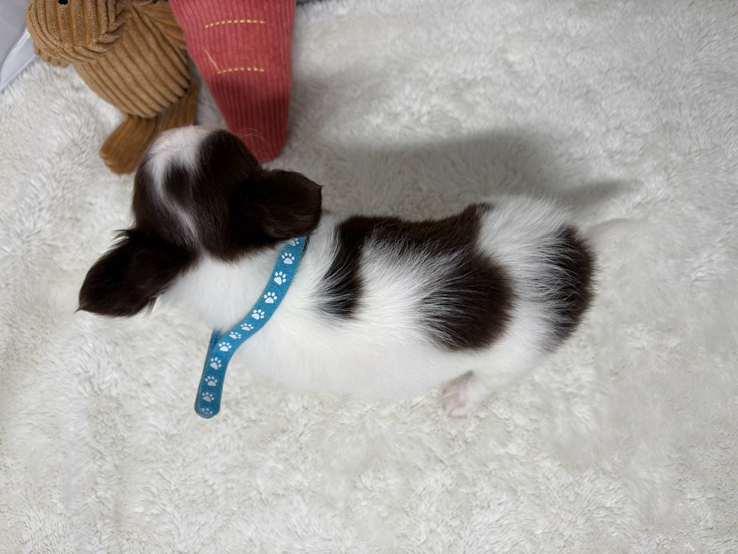赤ちゃん写真3-3
