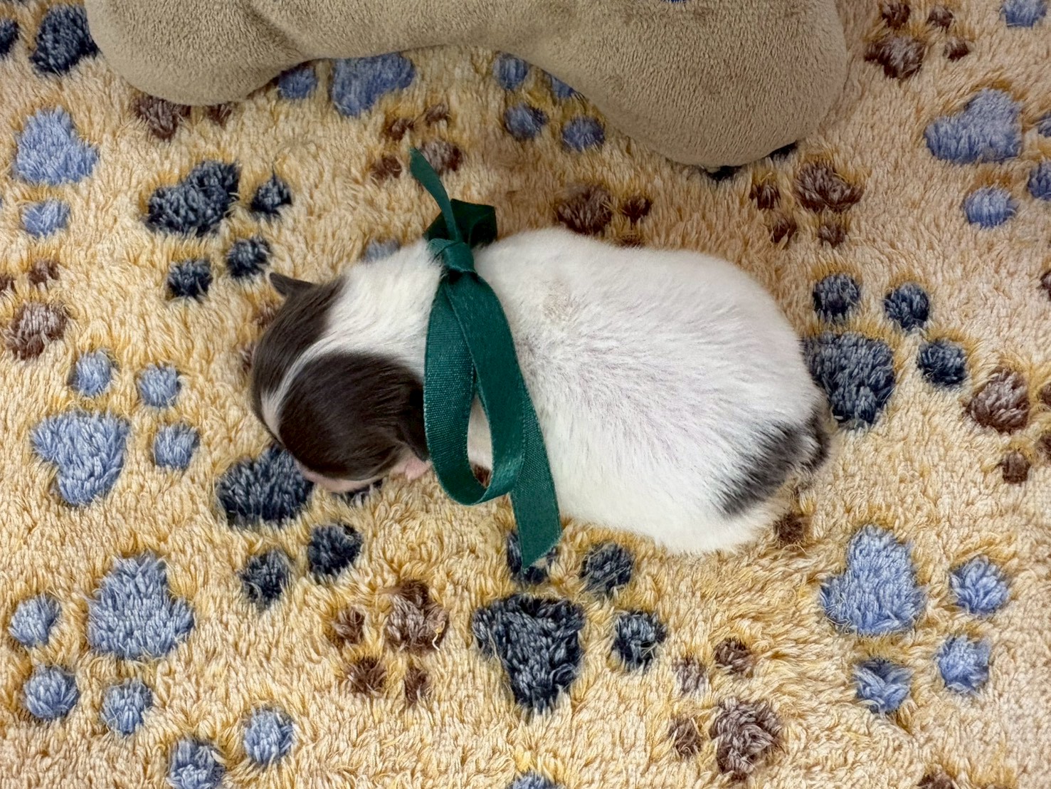 赤ちゃん写真1-3