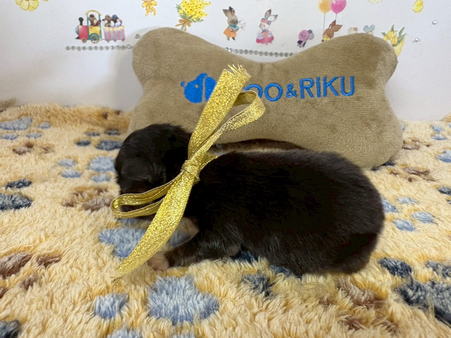 赤ちゃん写真1-2