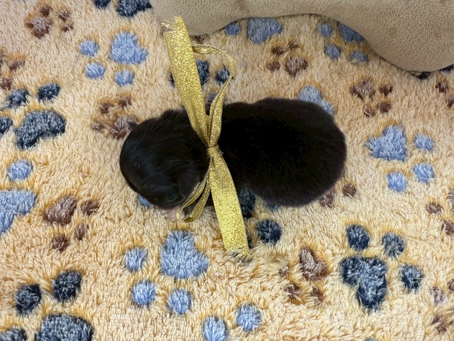 赤ちゃん写真1-3