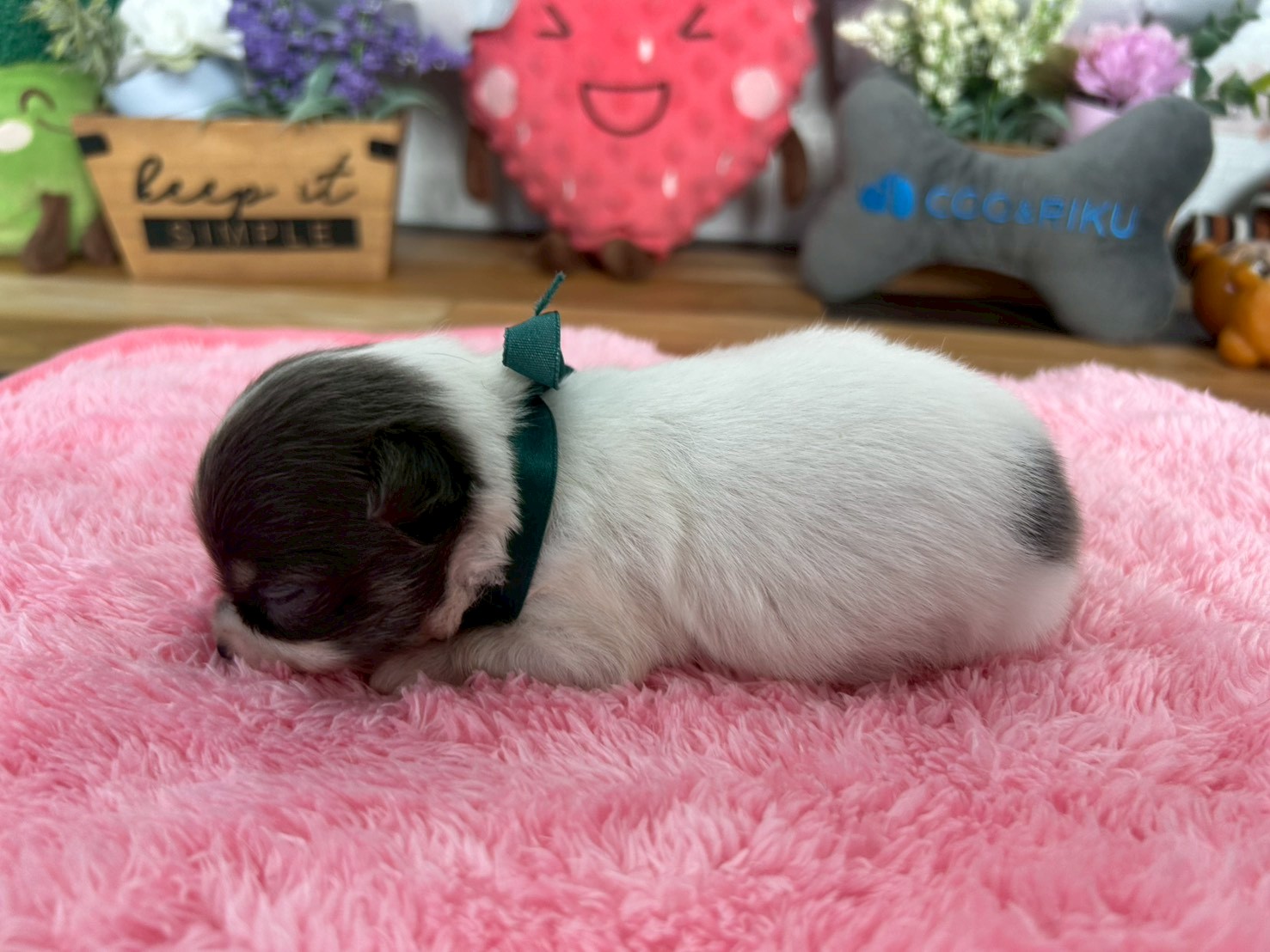 赤ちゃん写真2-2