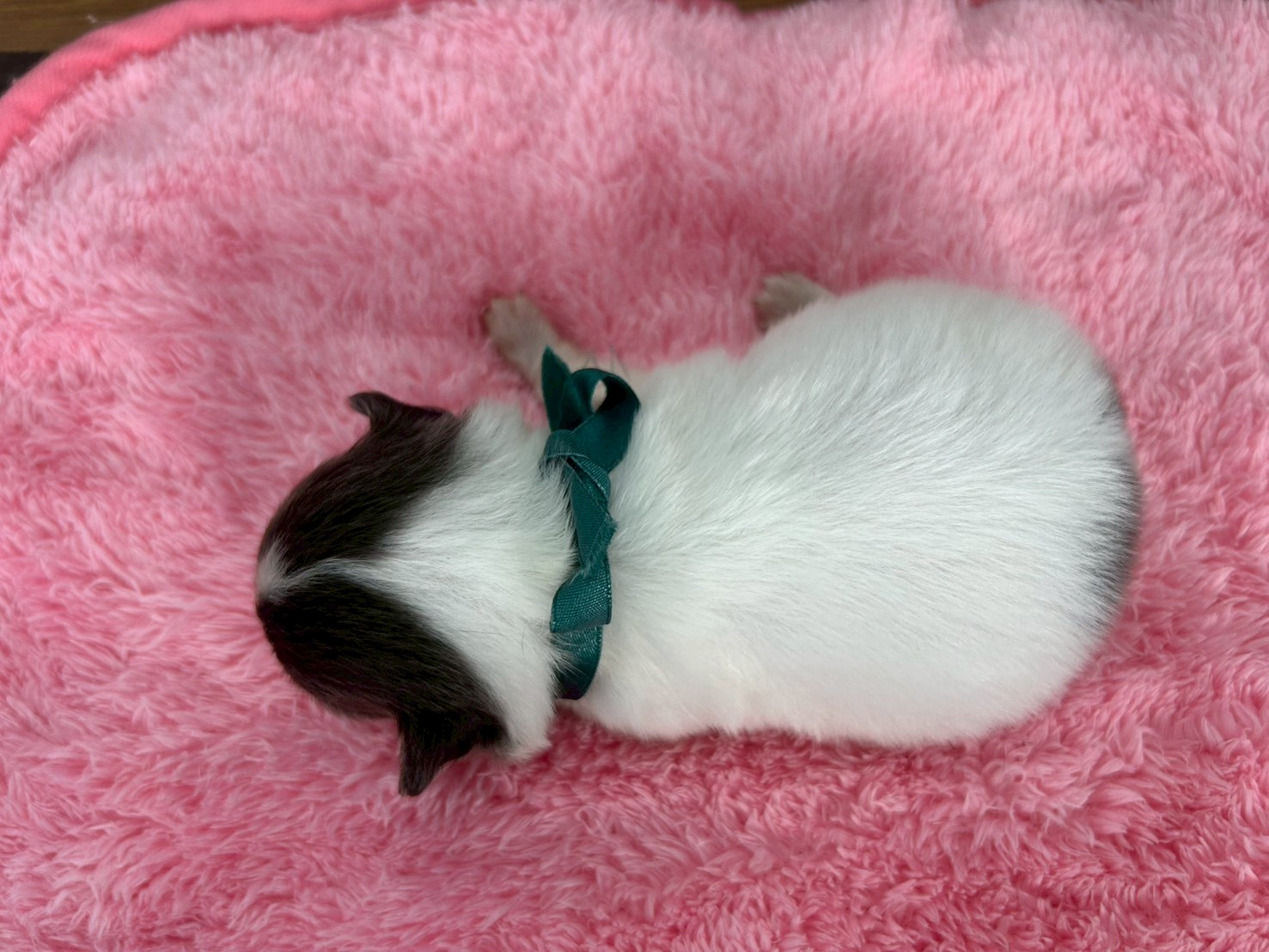 赤ちゃん写真2-3