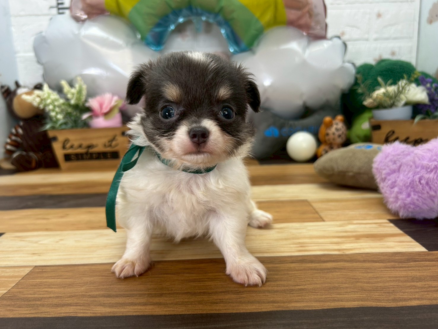 赤ちゃん写真3-1