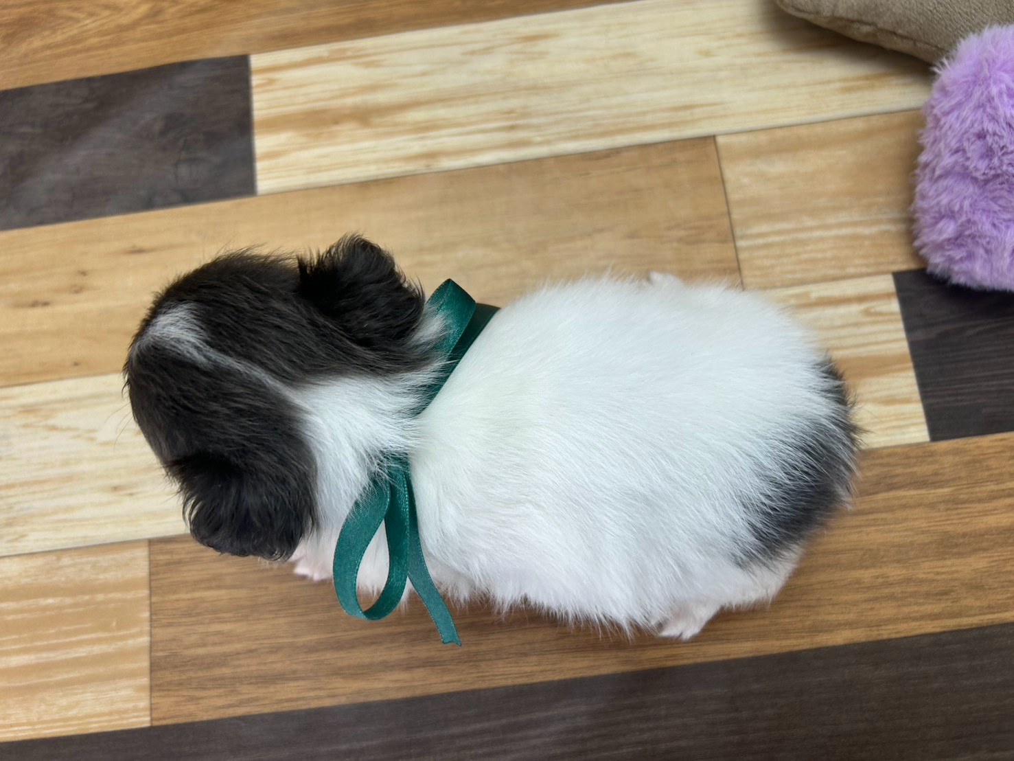 赤ちゃん写真3-3