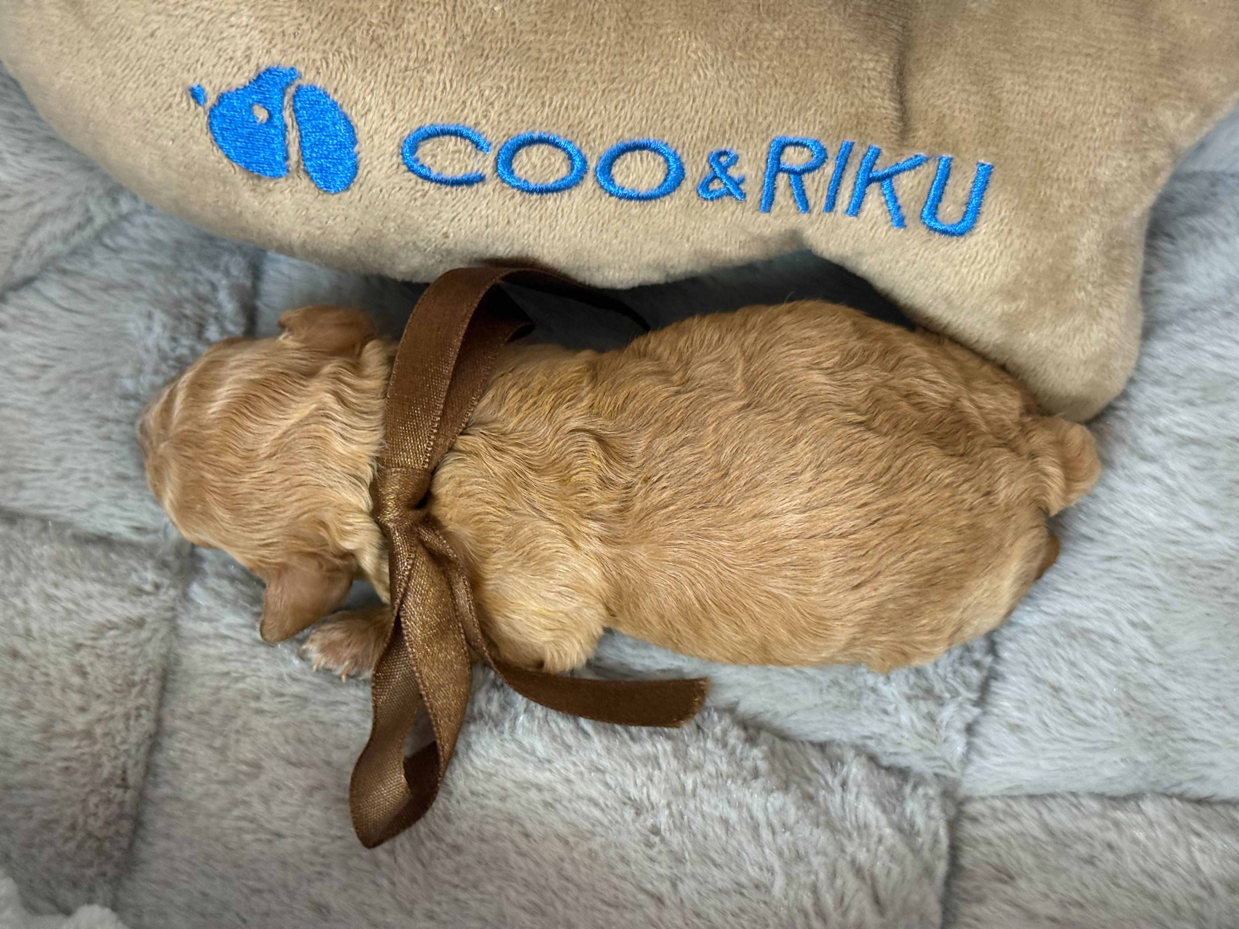 赤ちゃん写真1-3