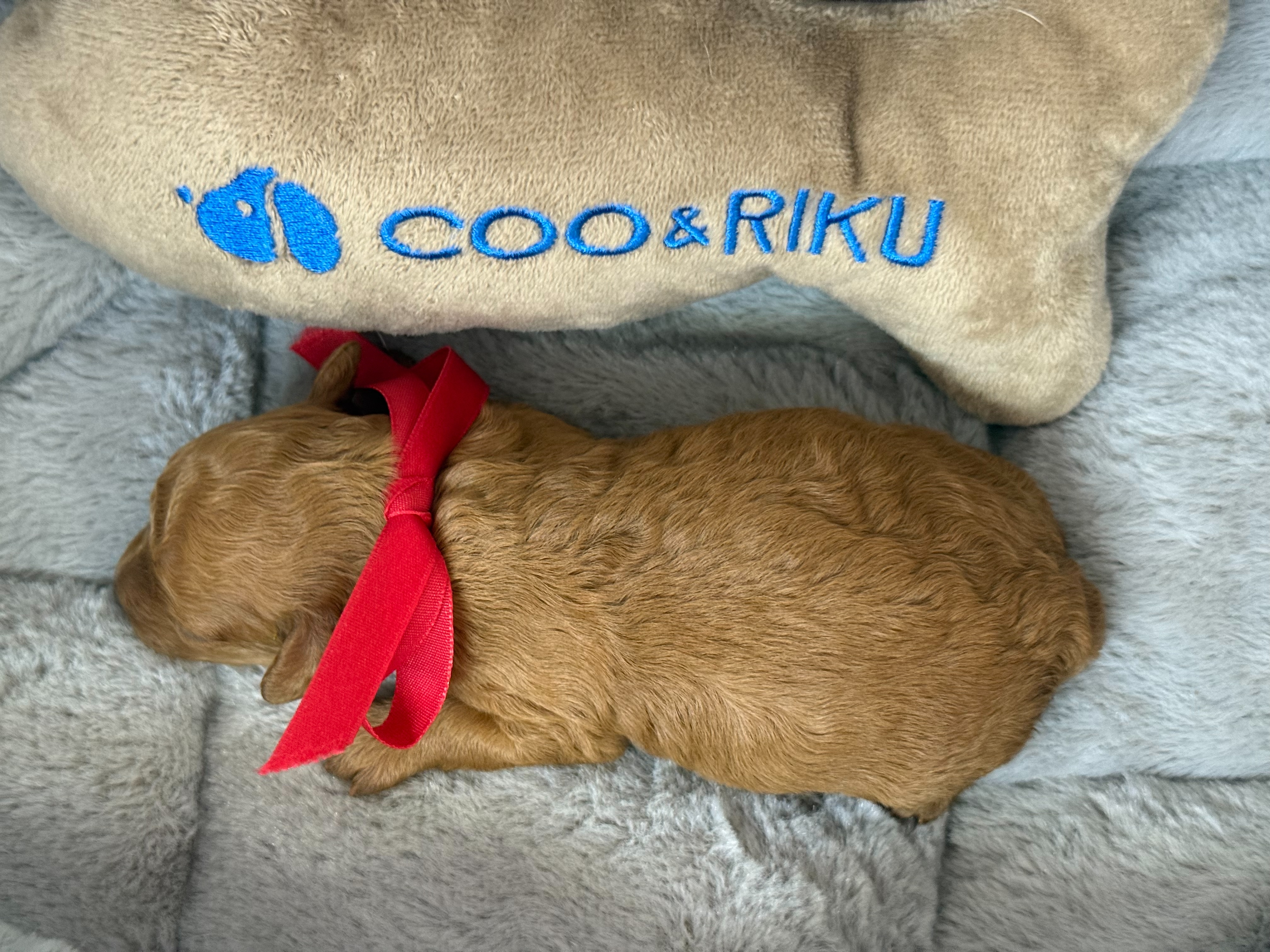 赤ちゃん写真1-3