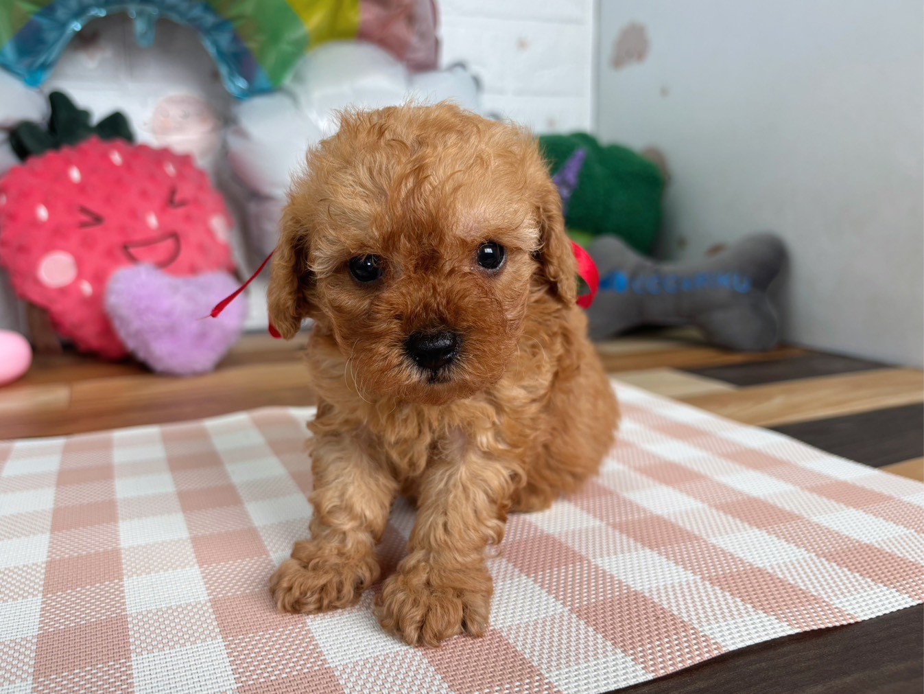 赤ちゃん写真2-1