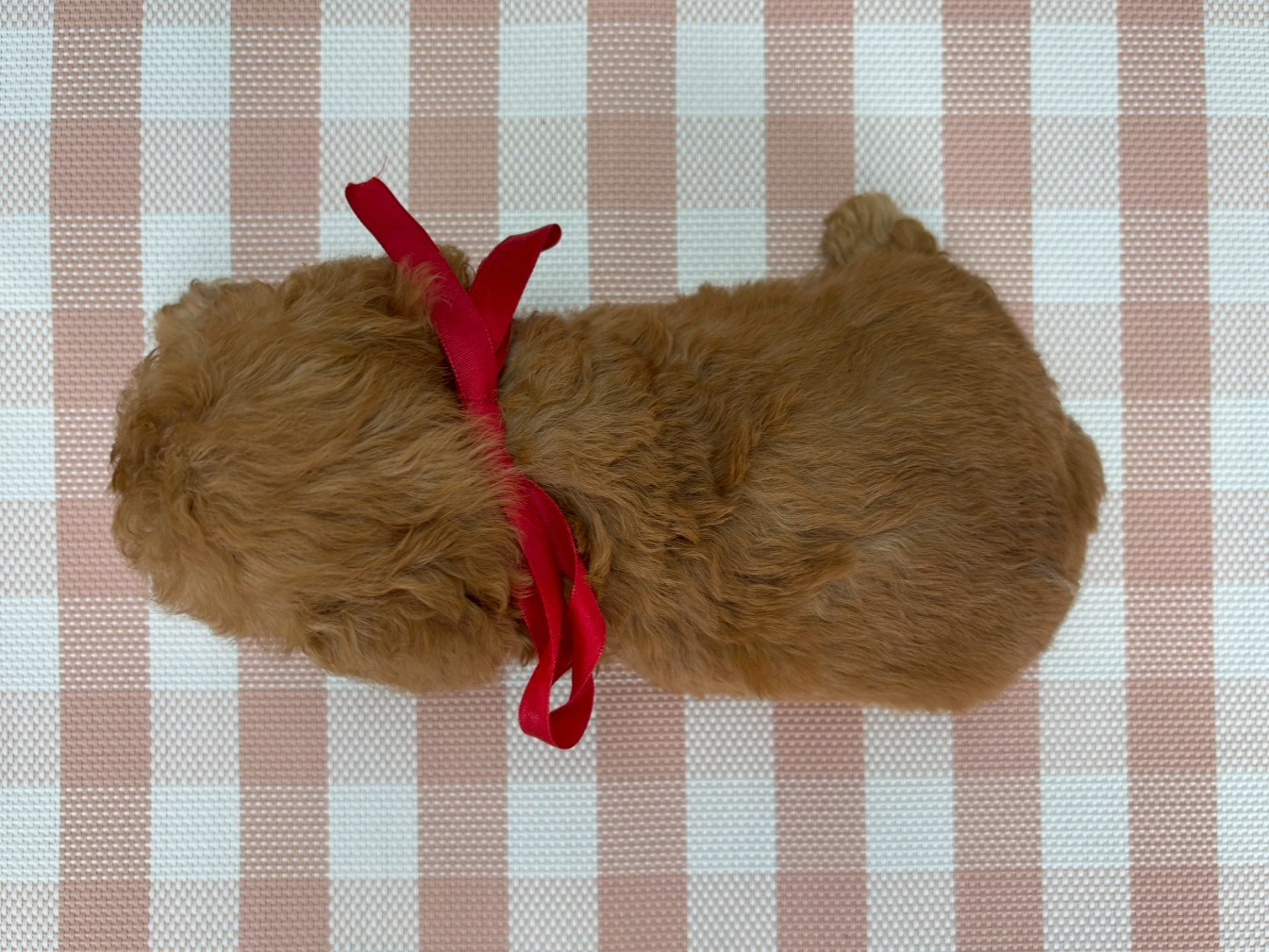 赤ちゃん写真2-3