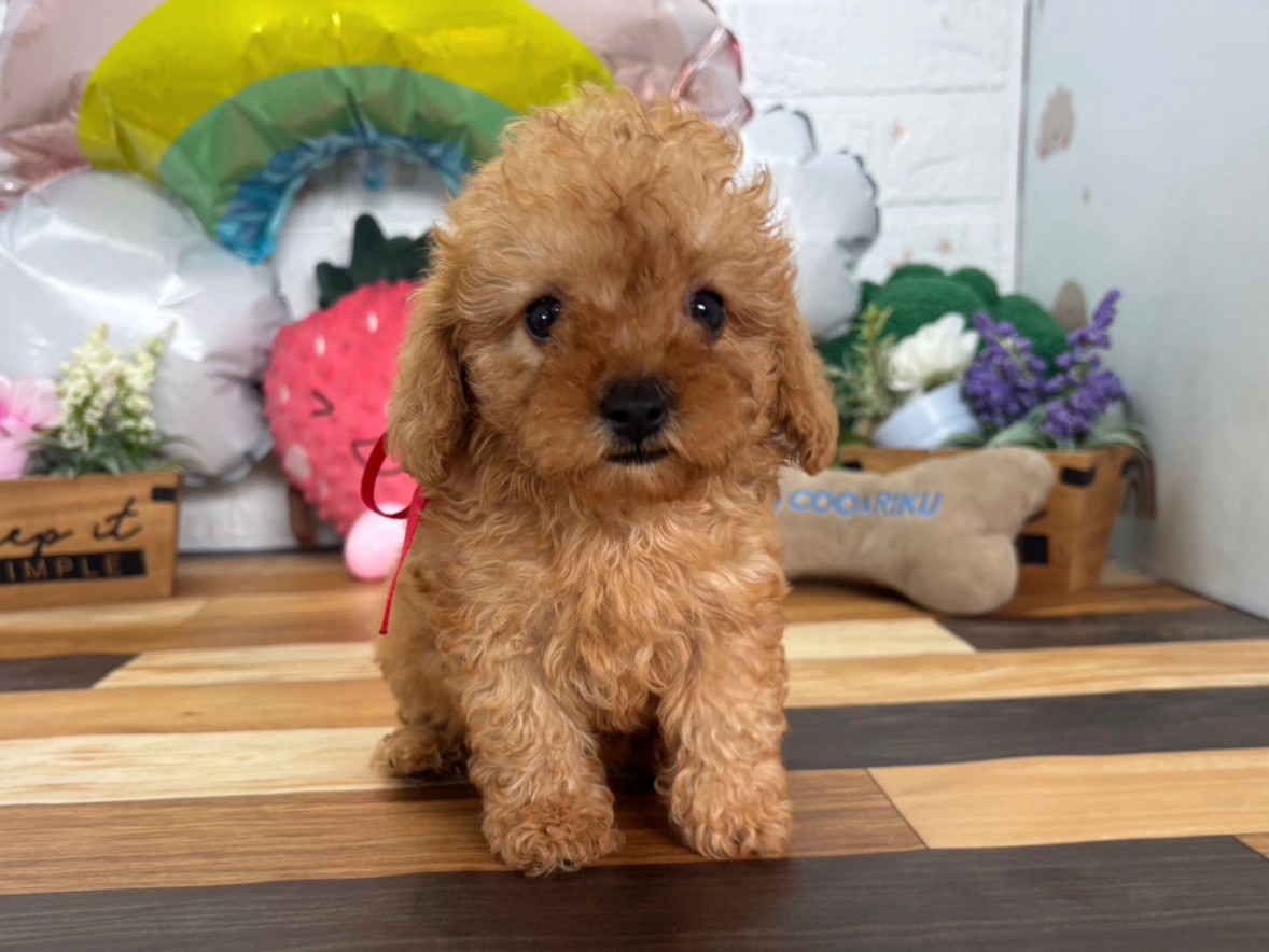 赤ちゃん写真3-1